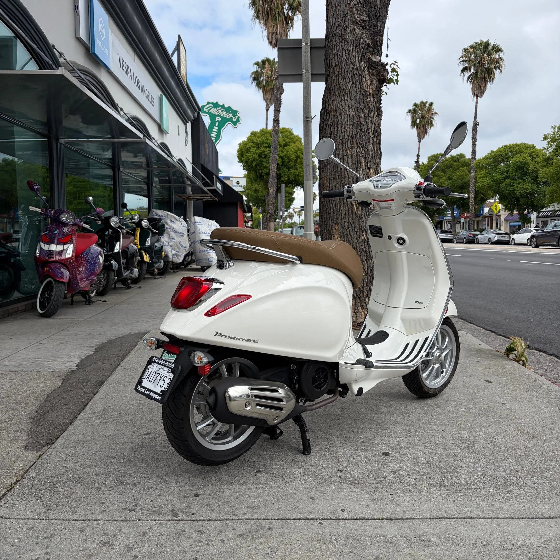IMG_3159.jpeg