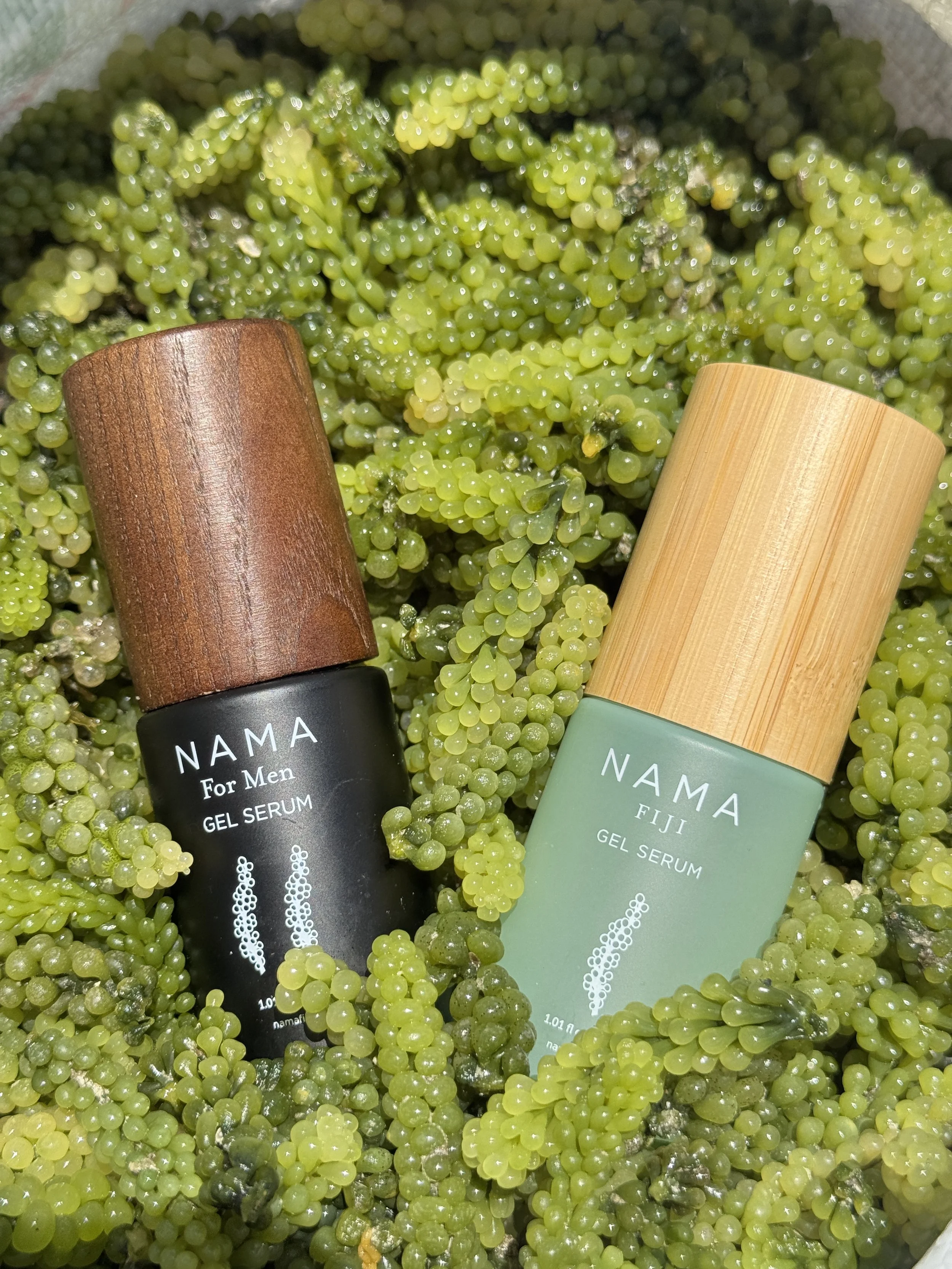 Nama Fiji Commits to Canopy’s Pack4Good Initiative to Help Protect the World’s Forests