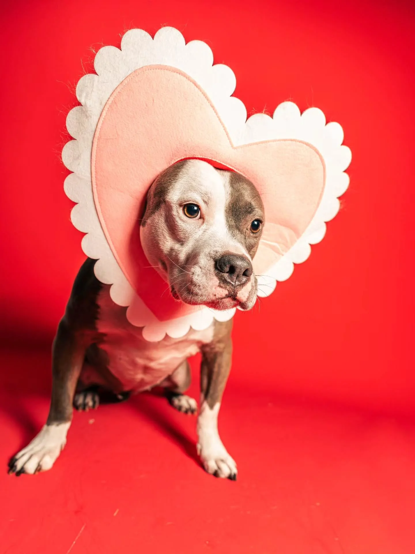 The Love that keeps on giving ❤️