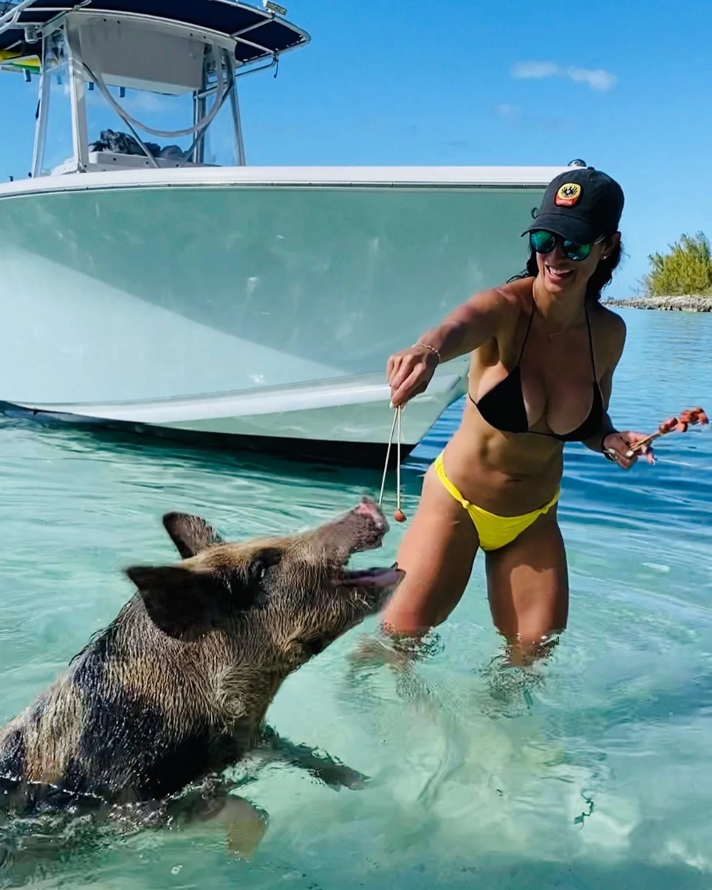 bahamaspig.jpg