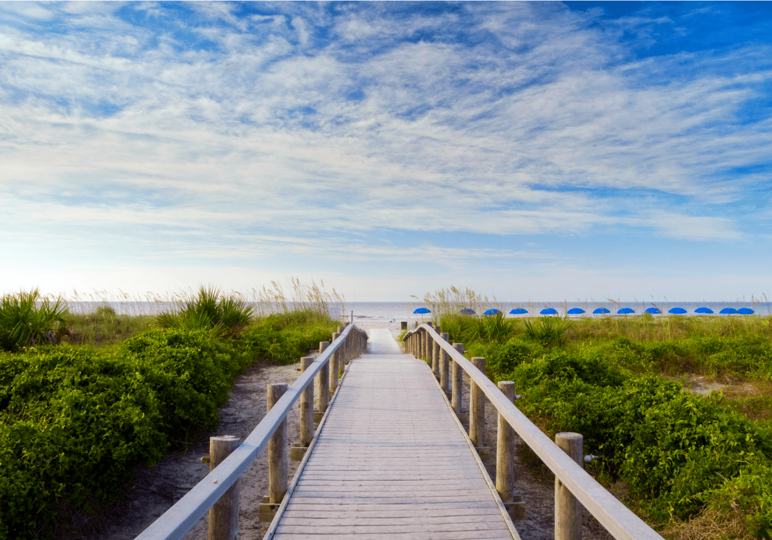 HiltonHead_Getty-59bb0b4fc412440010e53b7b.png