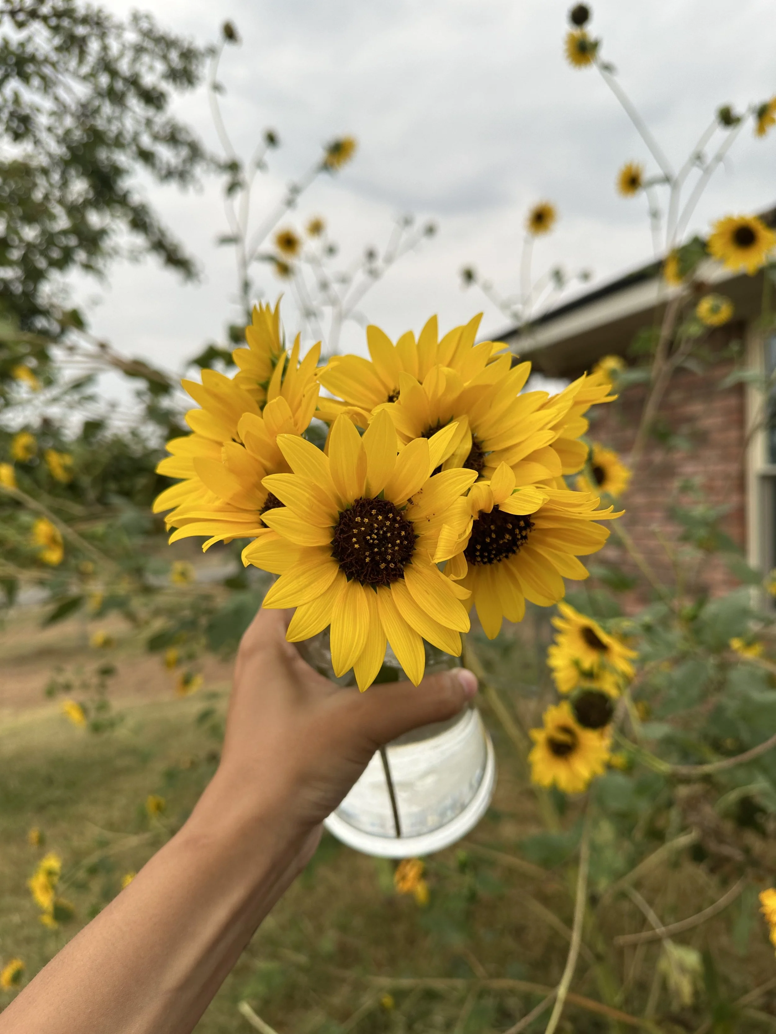 spring farm planning: what we prepare before the season changes