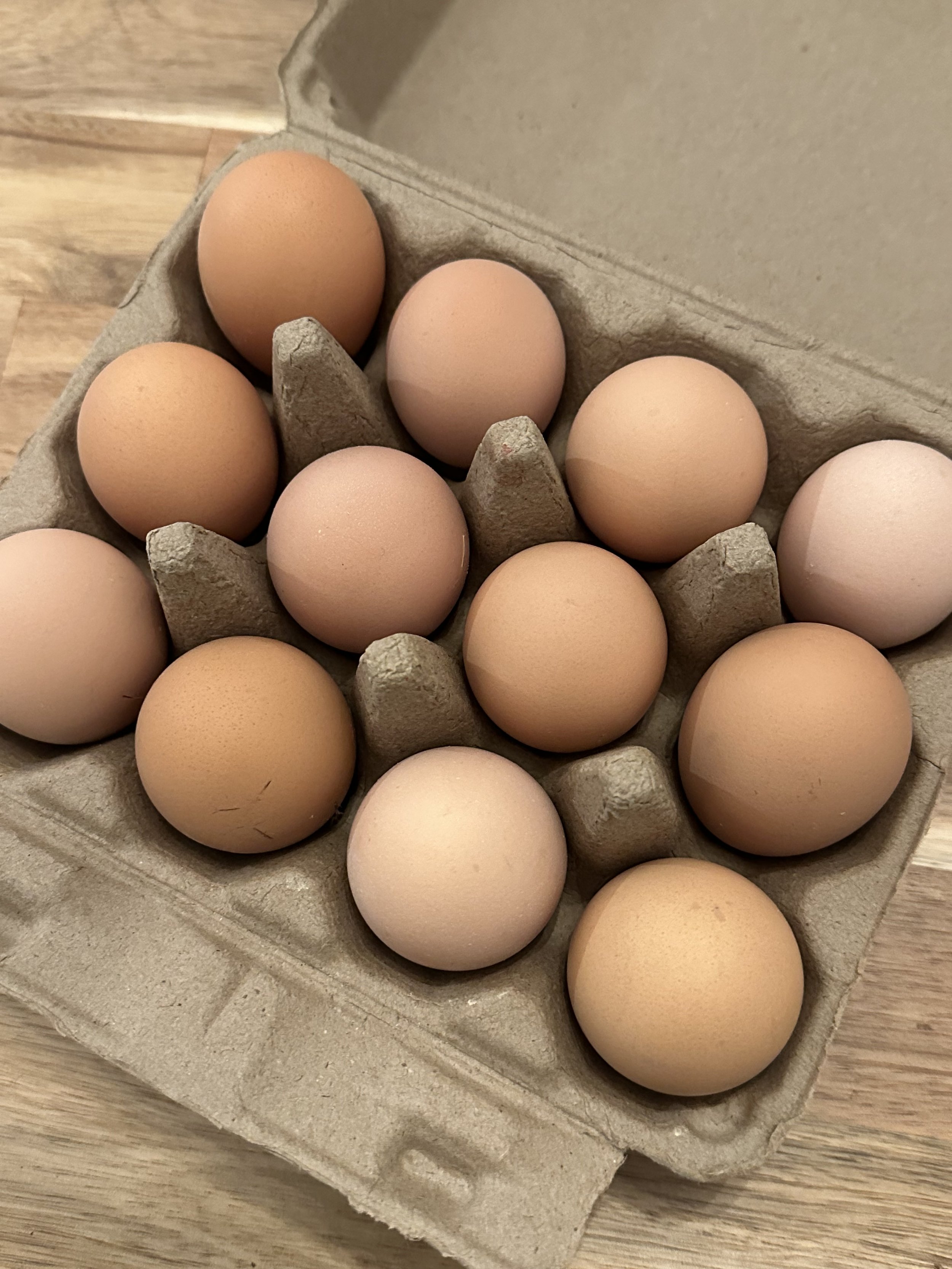 chicken eggs