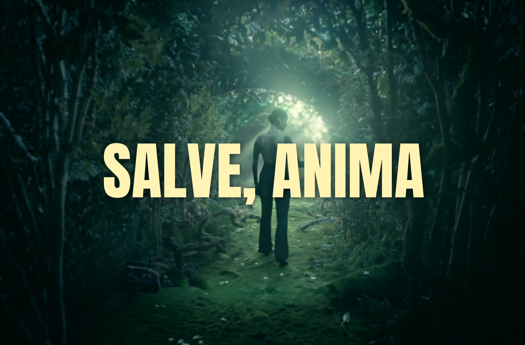 A person walking alone in a dense, green forest with sunlight shining through the trees, and the words 'Save, Animal' overlaid in large yellow letters.