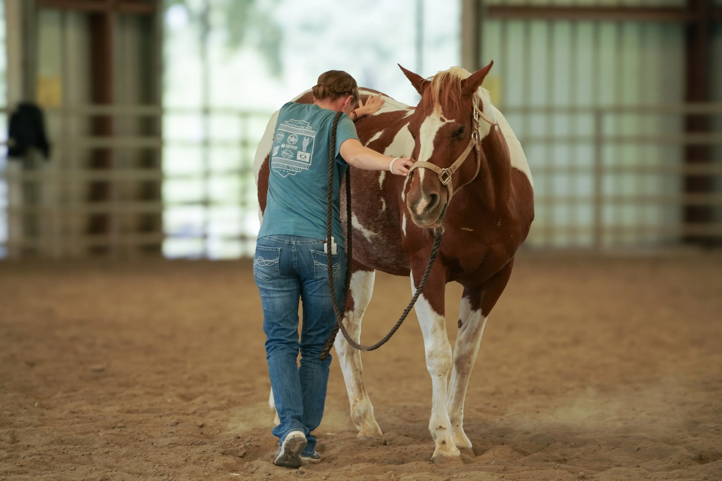 IET Training Program — Integrated Equine Therapies