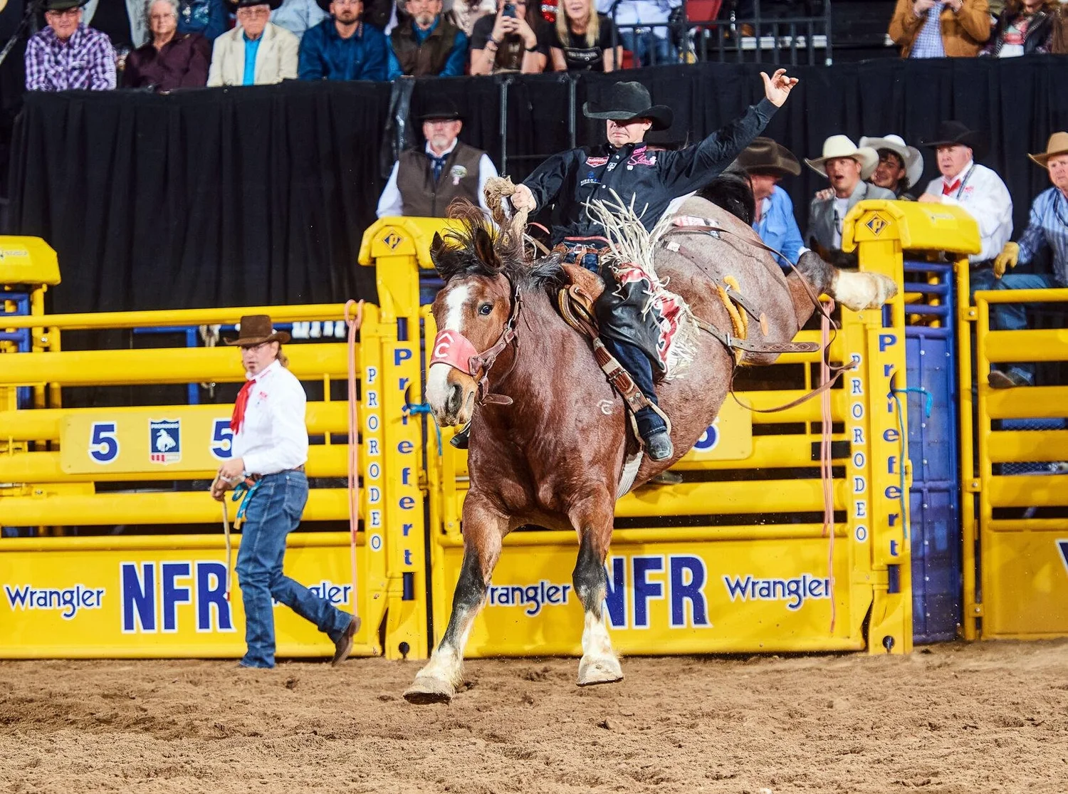 Peter Full Rodeo Pete Carr Pro Rodeo