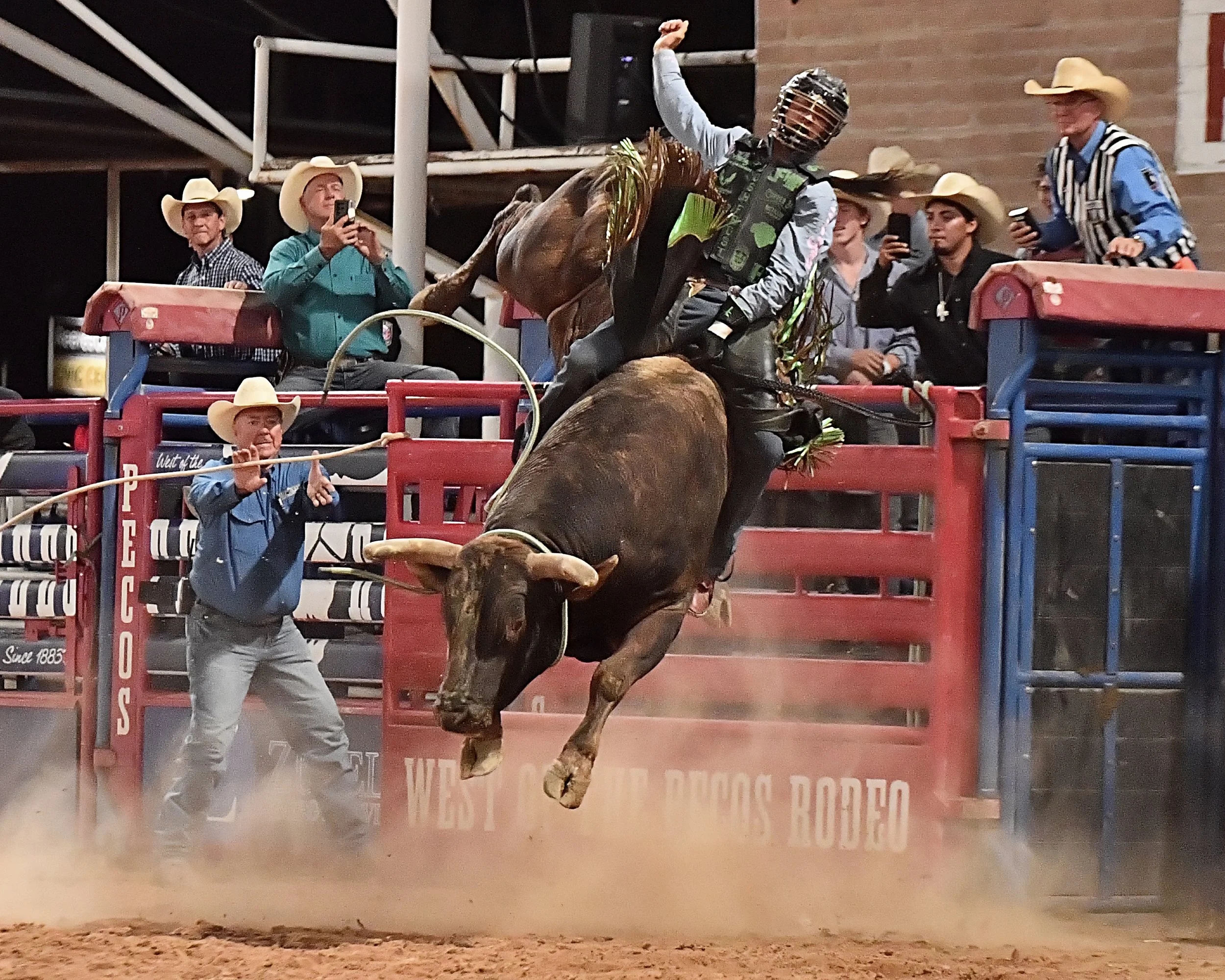 Pete Carr Pro Rodeo Bucking Stock — Pete Carr Pro Rodeo