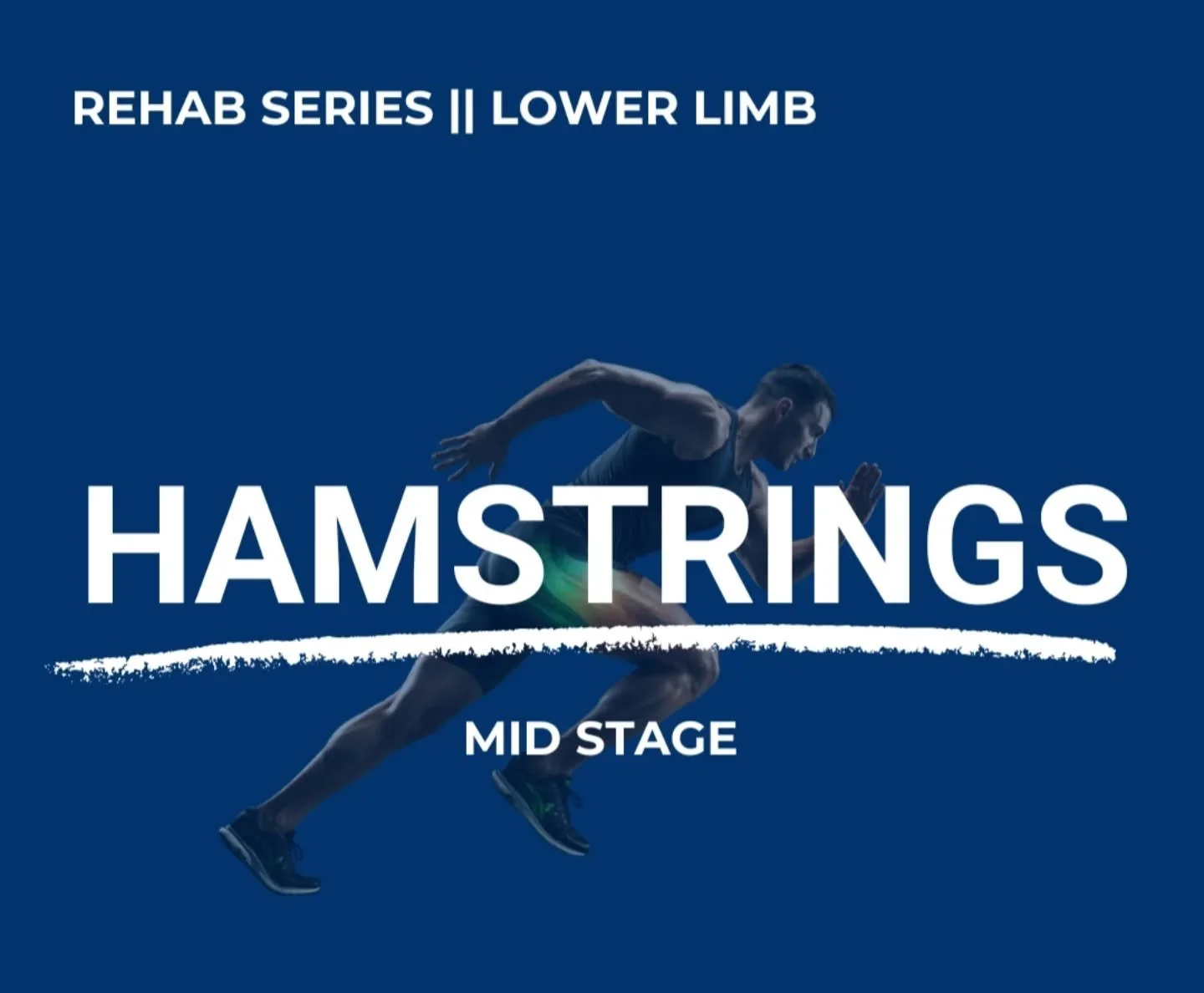 HAMSTRING REHAB // PART 2: MID STAGE 🔄 

Here the focus shifts from simply reloading the muscle to progressively strengthening in positions and patterns that prepare for running. 

✅️ Progressing earlier stage exercises 
✅️ Introducing more lengthen