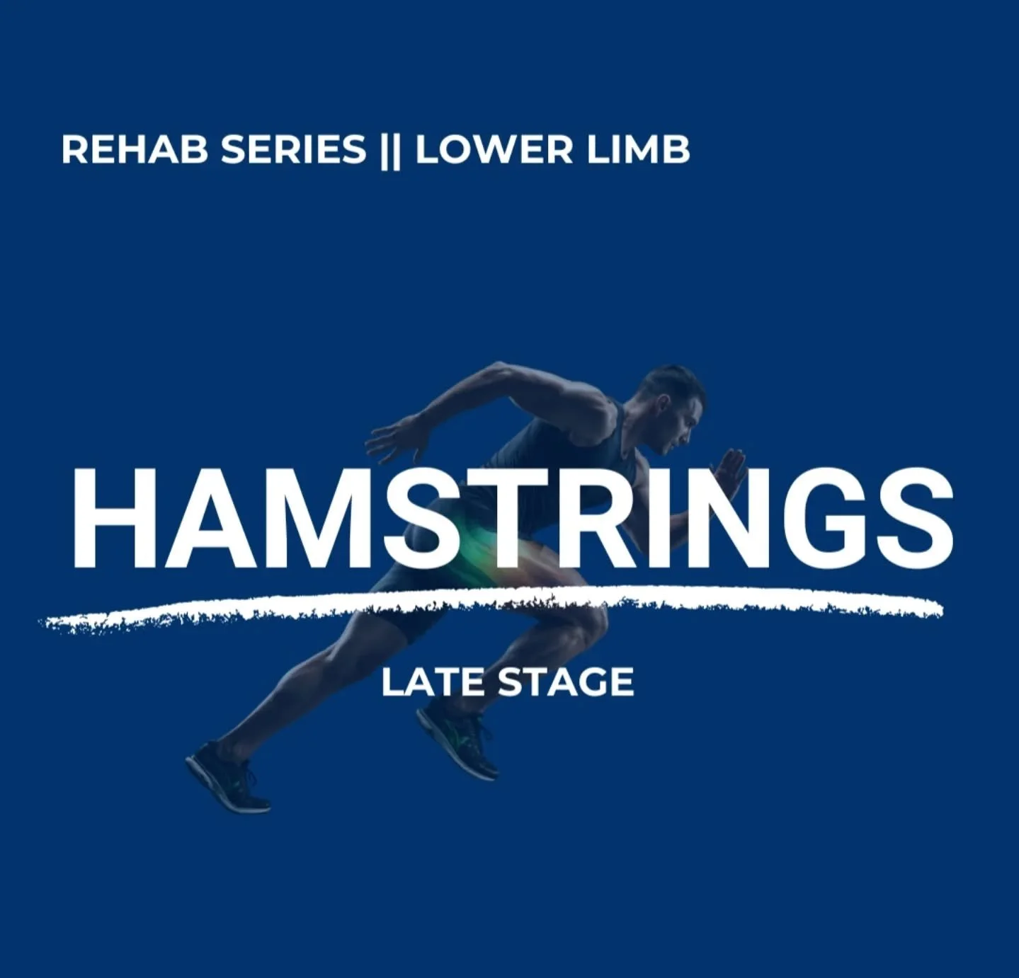 HAMSTRING REHAB // PART 3 : LATE STAGE 🏃&zwj;♀️

This is where rehab looks much more like sport. 

Late stage rehab is all about preparing the hamstrings and lower body for the demands they need to tolerate - speed, velocity, length and high force. 