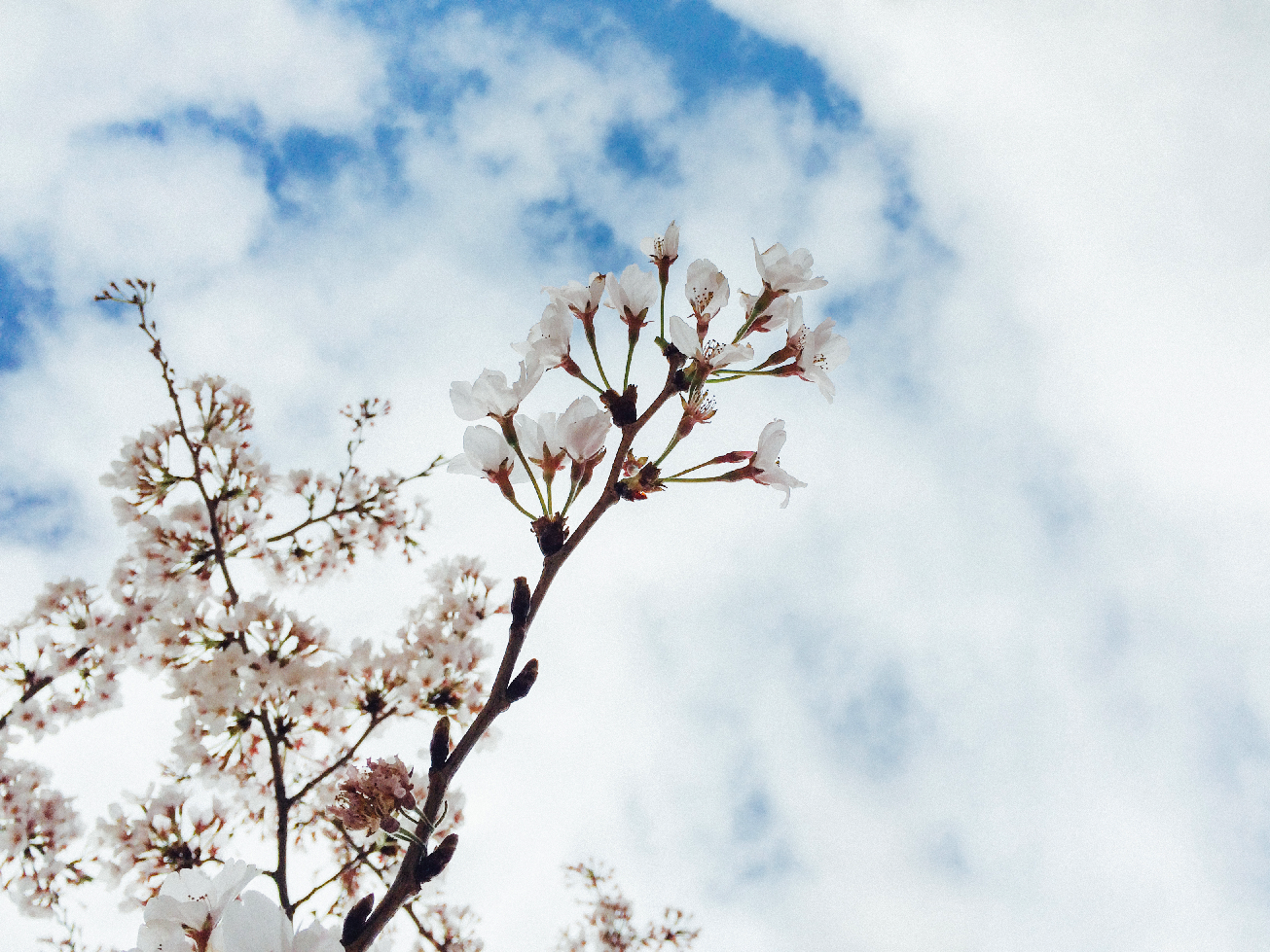 Spring