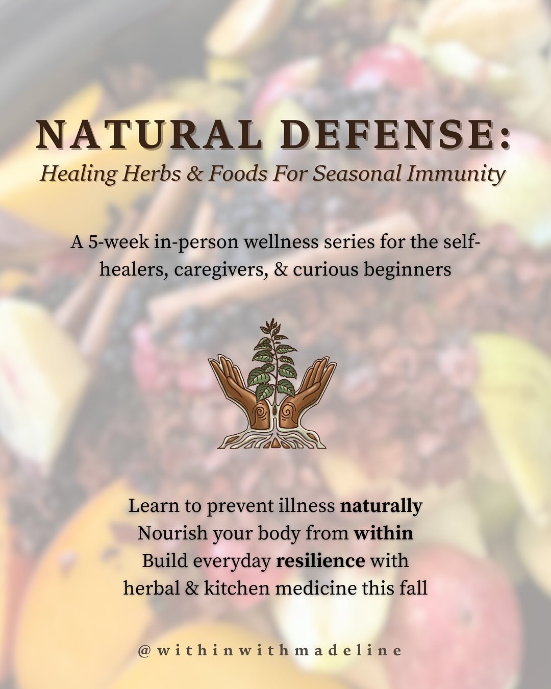 Gather with our local community to explore herbal &amp; kitchen medicine for immune support this fall! 🍂

This in-person series is crafted to help you connect with the plants &amp; foods growing around us, live in seasonal rhythm, &amp; discover acc