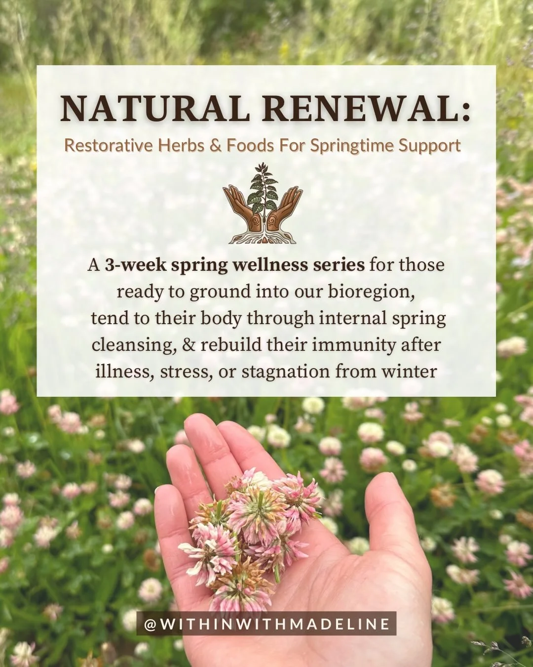 Join me this spring for a 3-week class series rooted in seasonal wellness and immune resilience 🌱

Our liver, kidneys, &amp; lymphatic system have the difficult task of ensuring we remain healthy and get the most from our nutrition during the colder