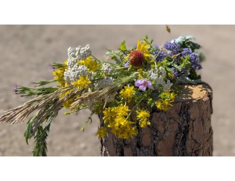 Earthstar Farms Marketing pic .jpg