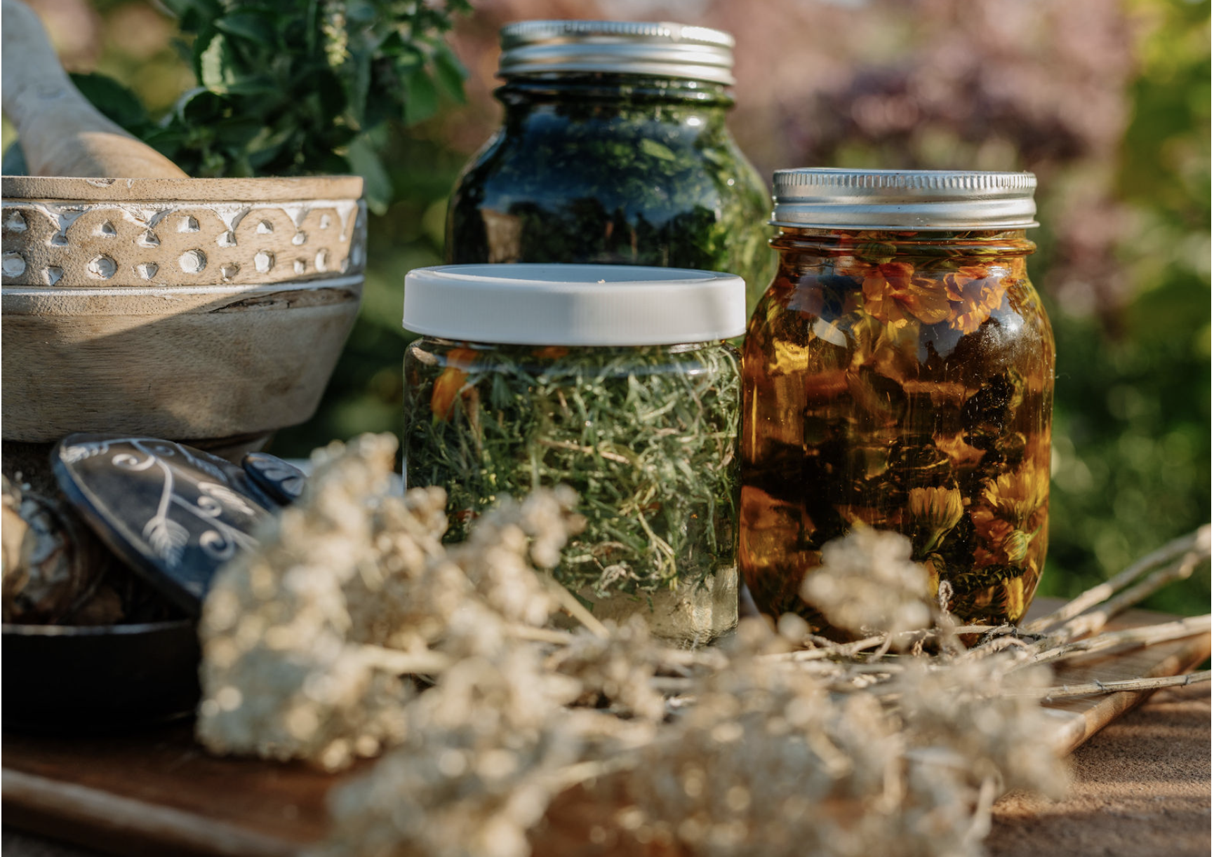 Antiviral Herbs &amp; Autoimmune Conditions: The Missing Link 