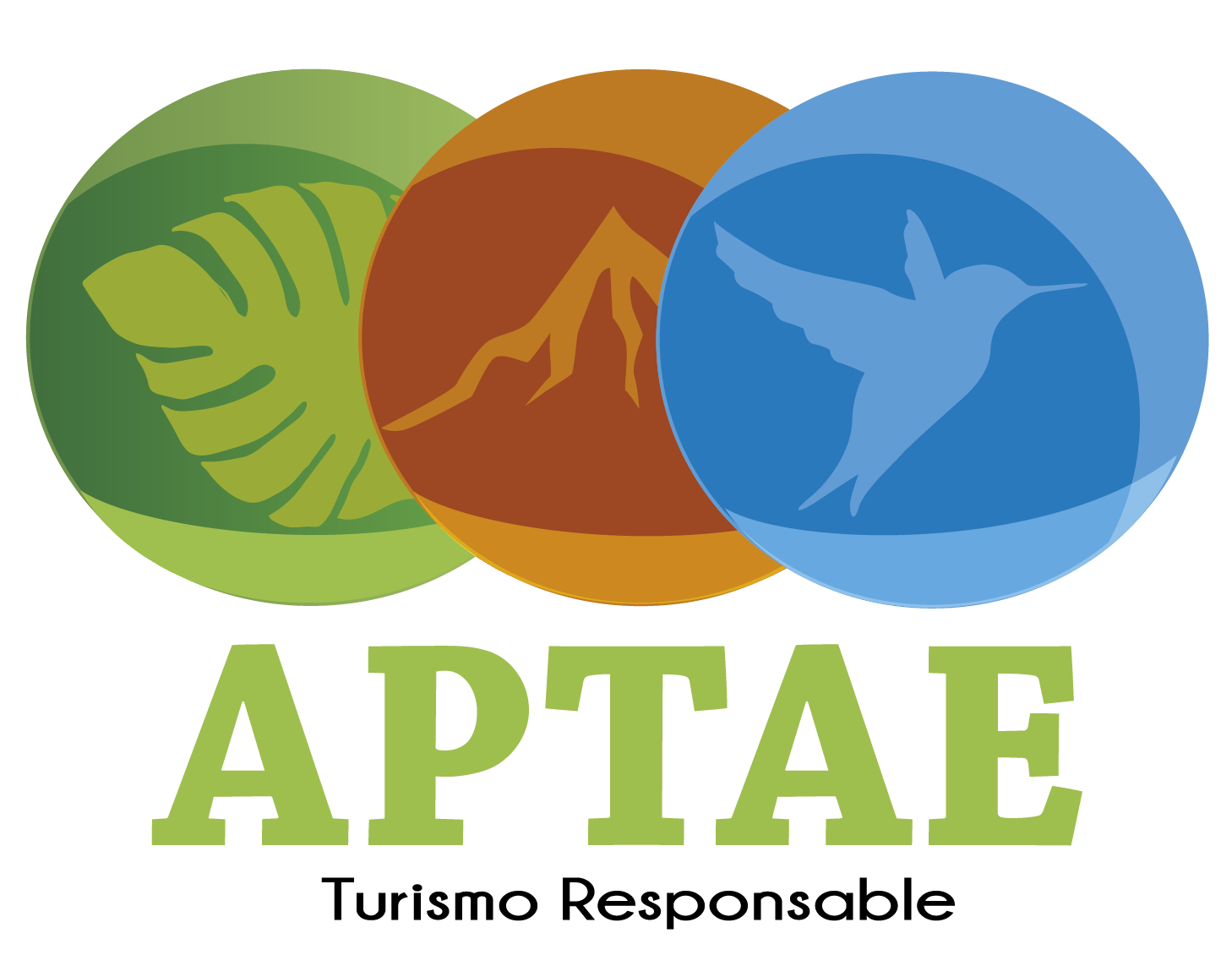APTAE logo.png