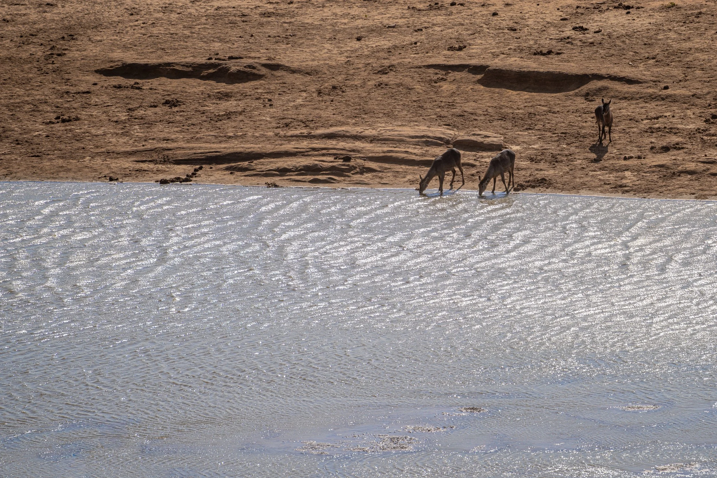 Paysage 17