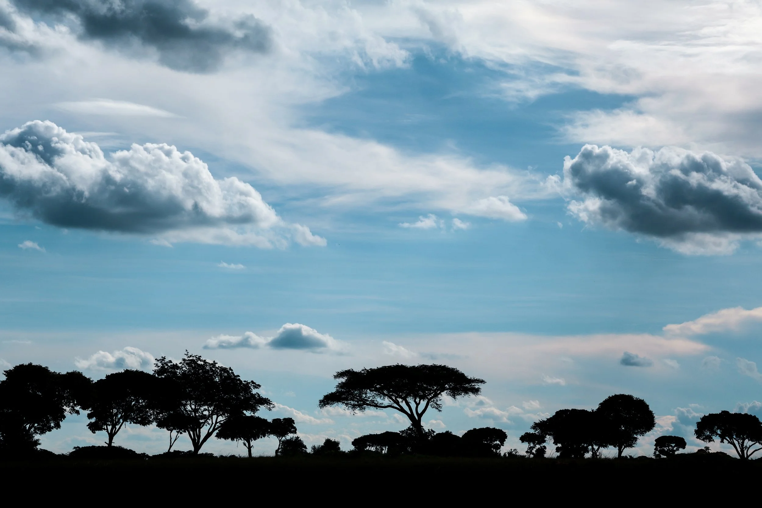 Paysage 5.jpg