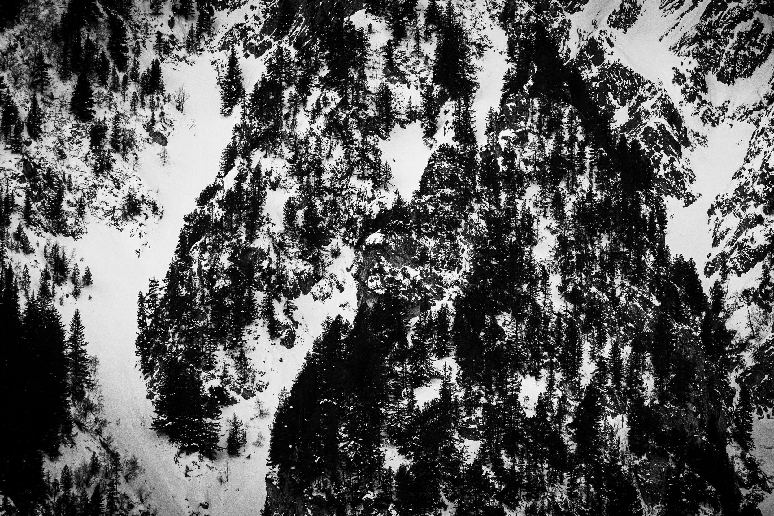 Paysage 28