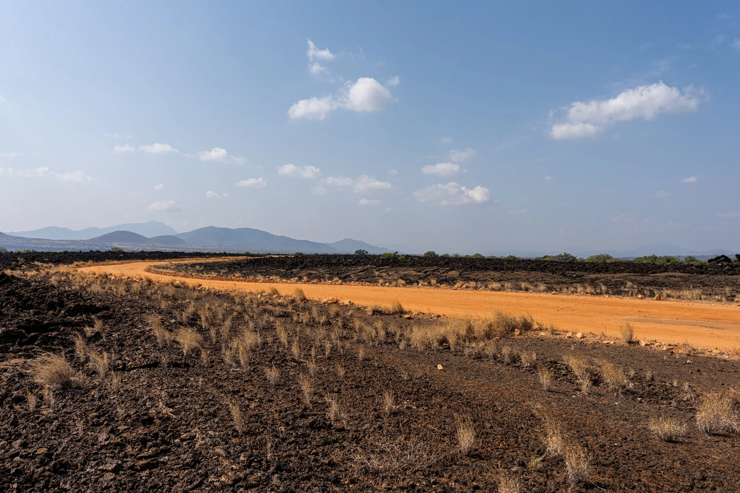 Paysage 19