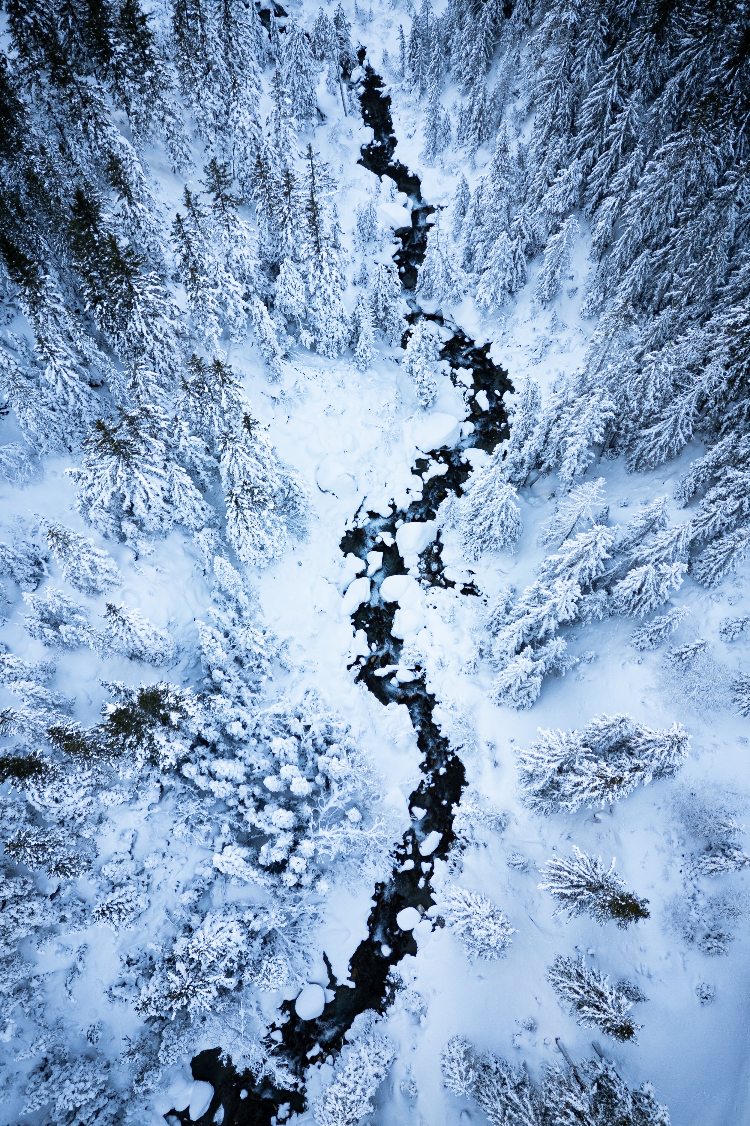 Paysage 12.jpg