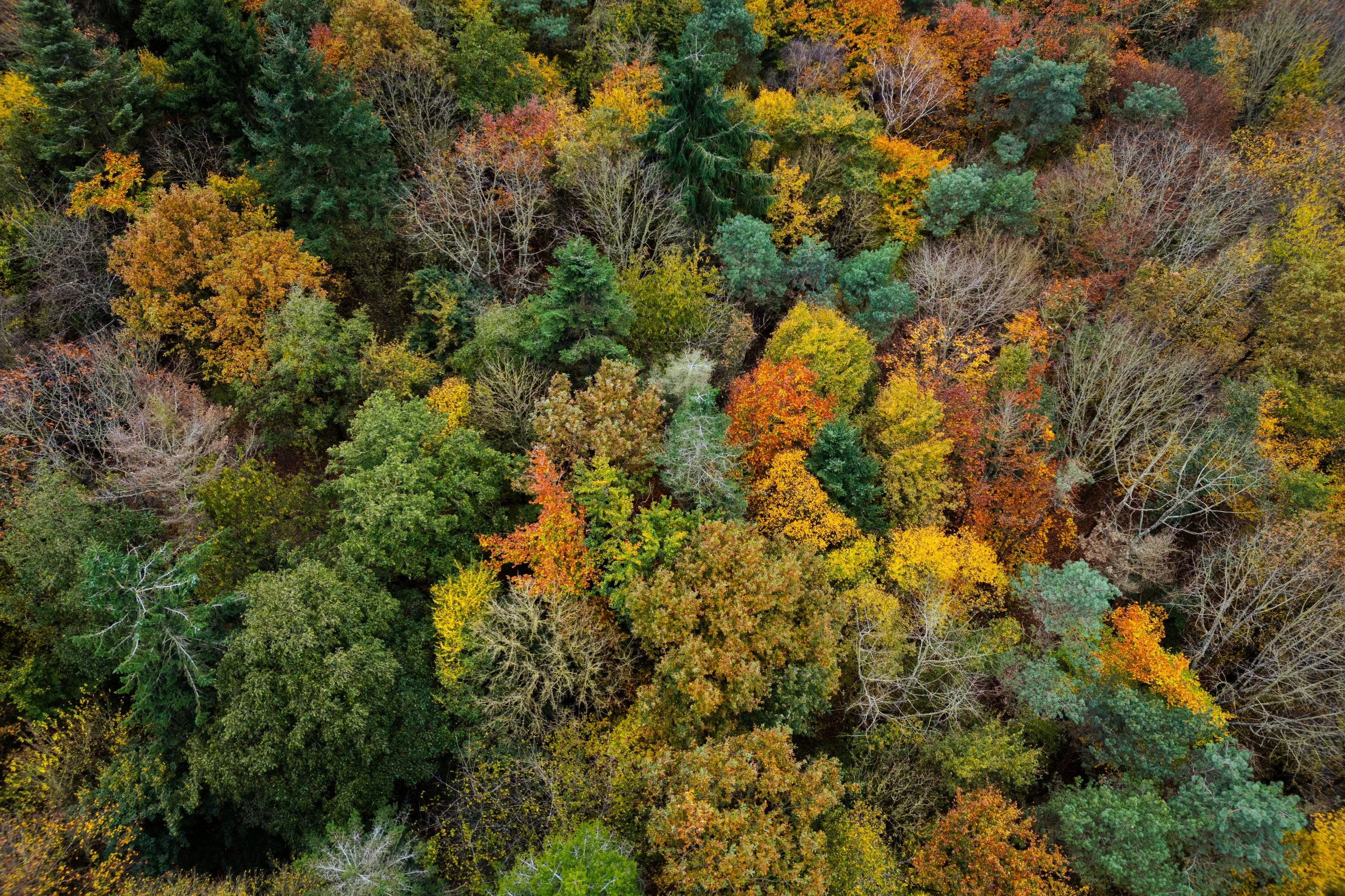 Paysage 7.jpg