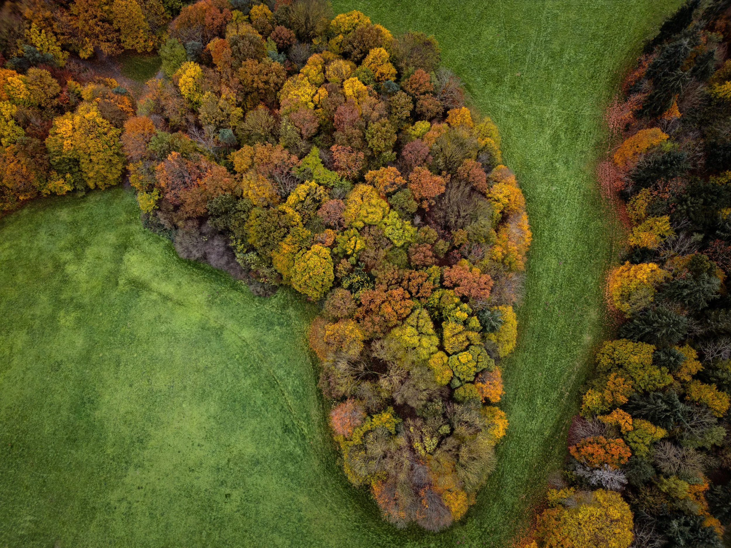 Paysage 8.jpg