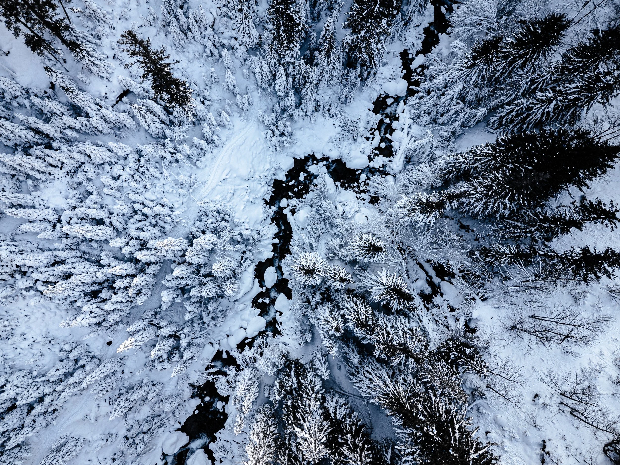 Paysage 13.jpg