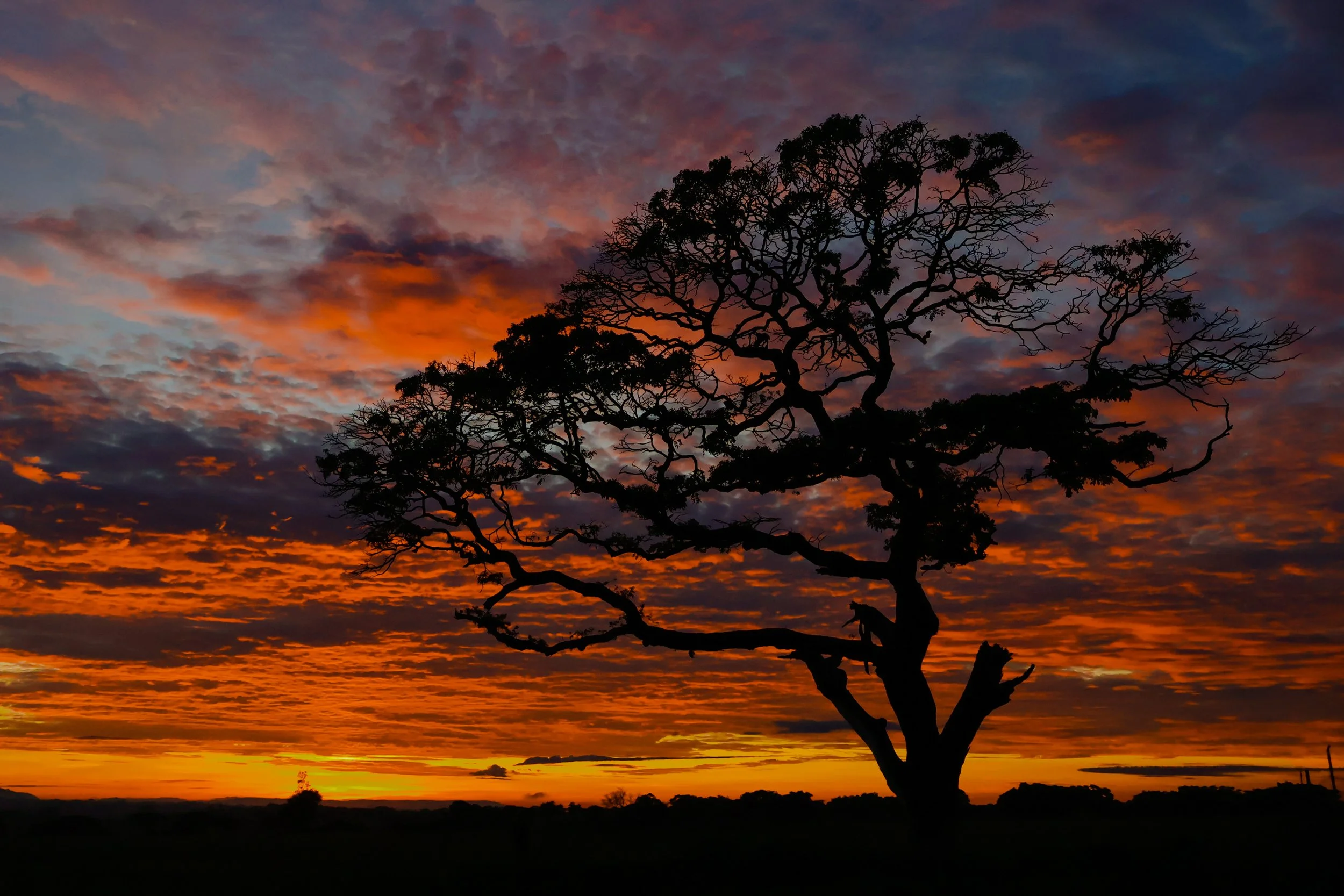 Paysage 4.jpg