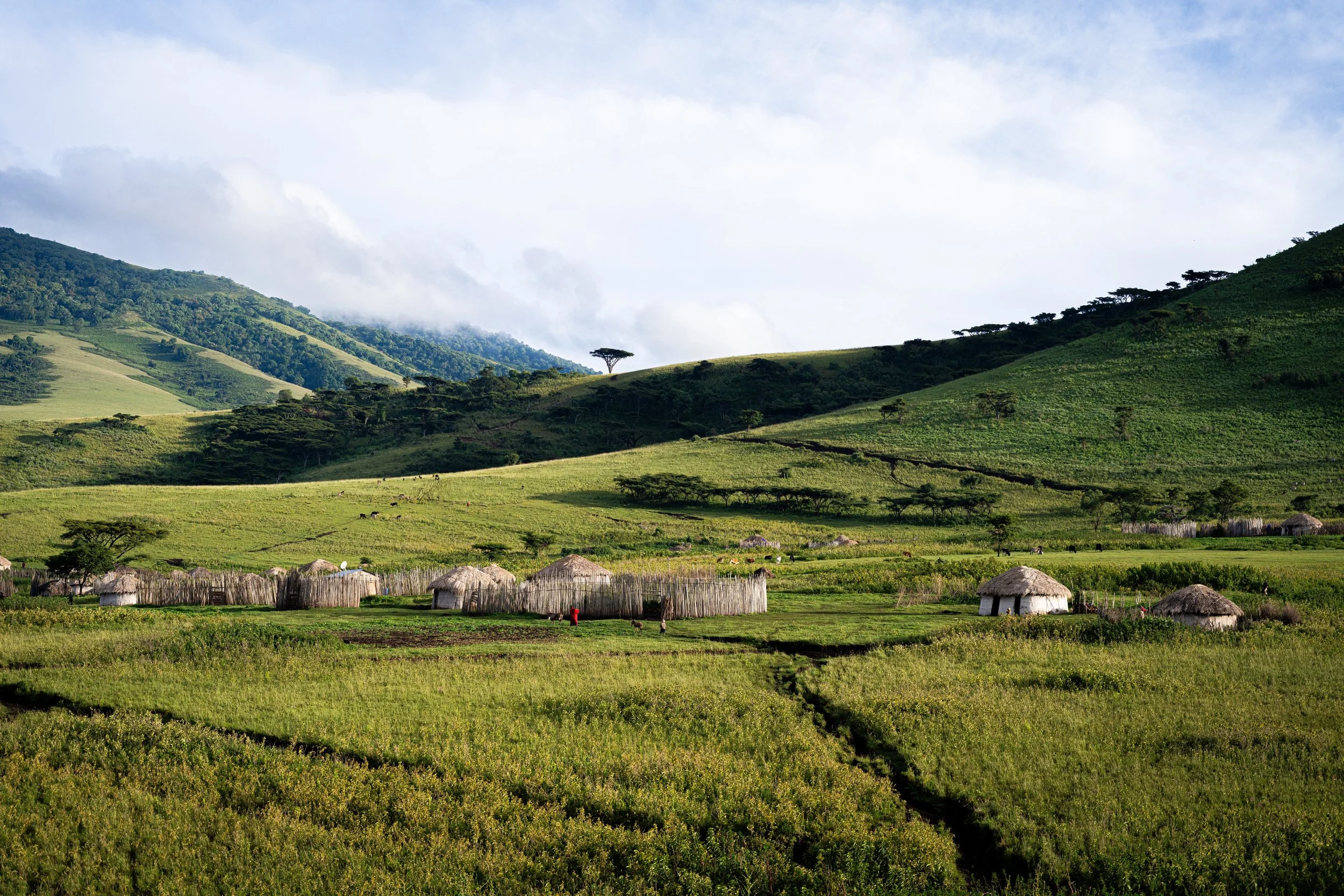 Paysage 1.jpg