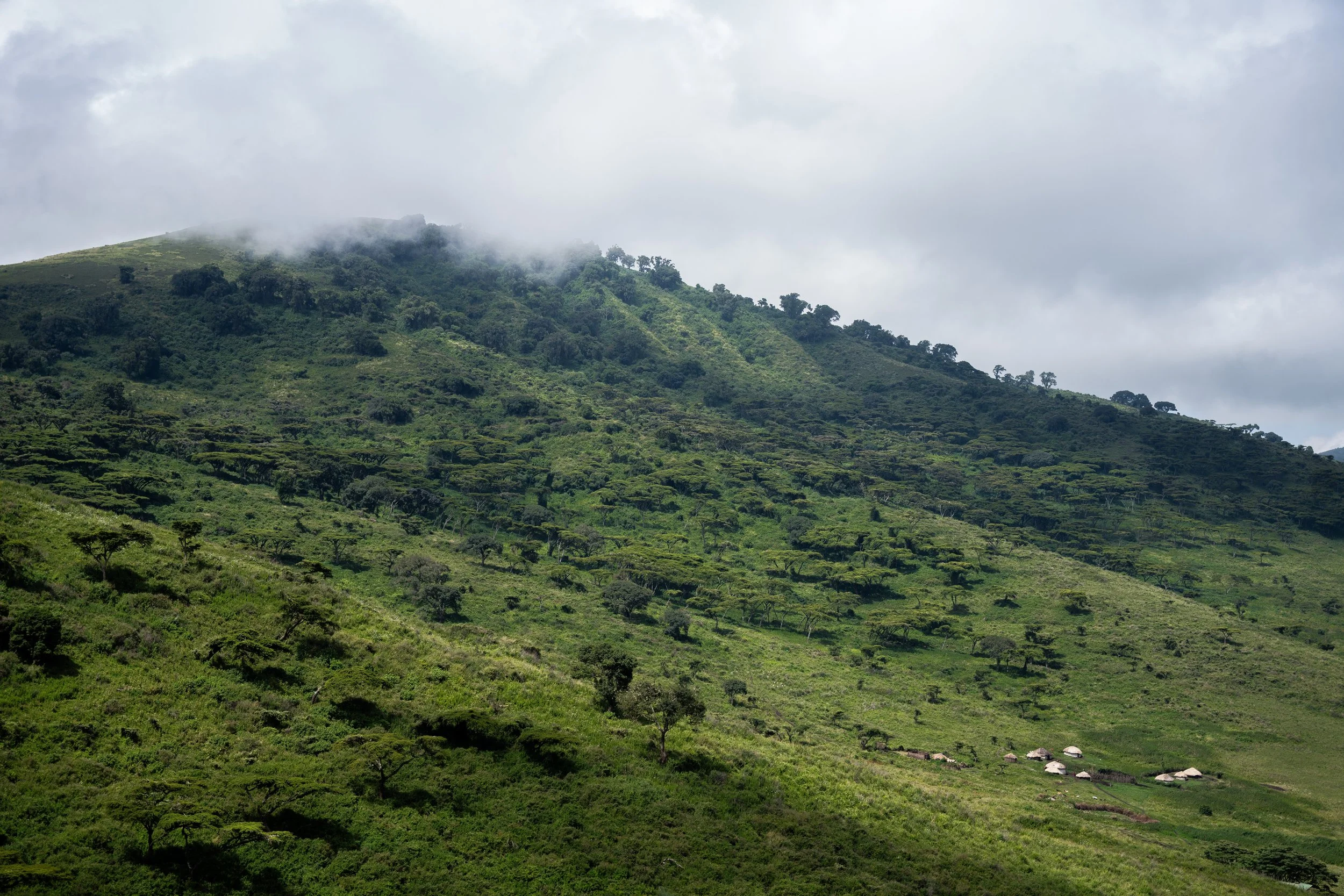 Paysage 2.jpg