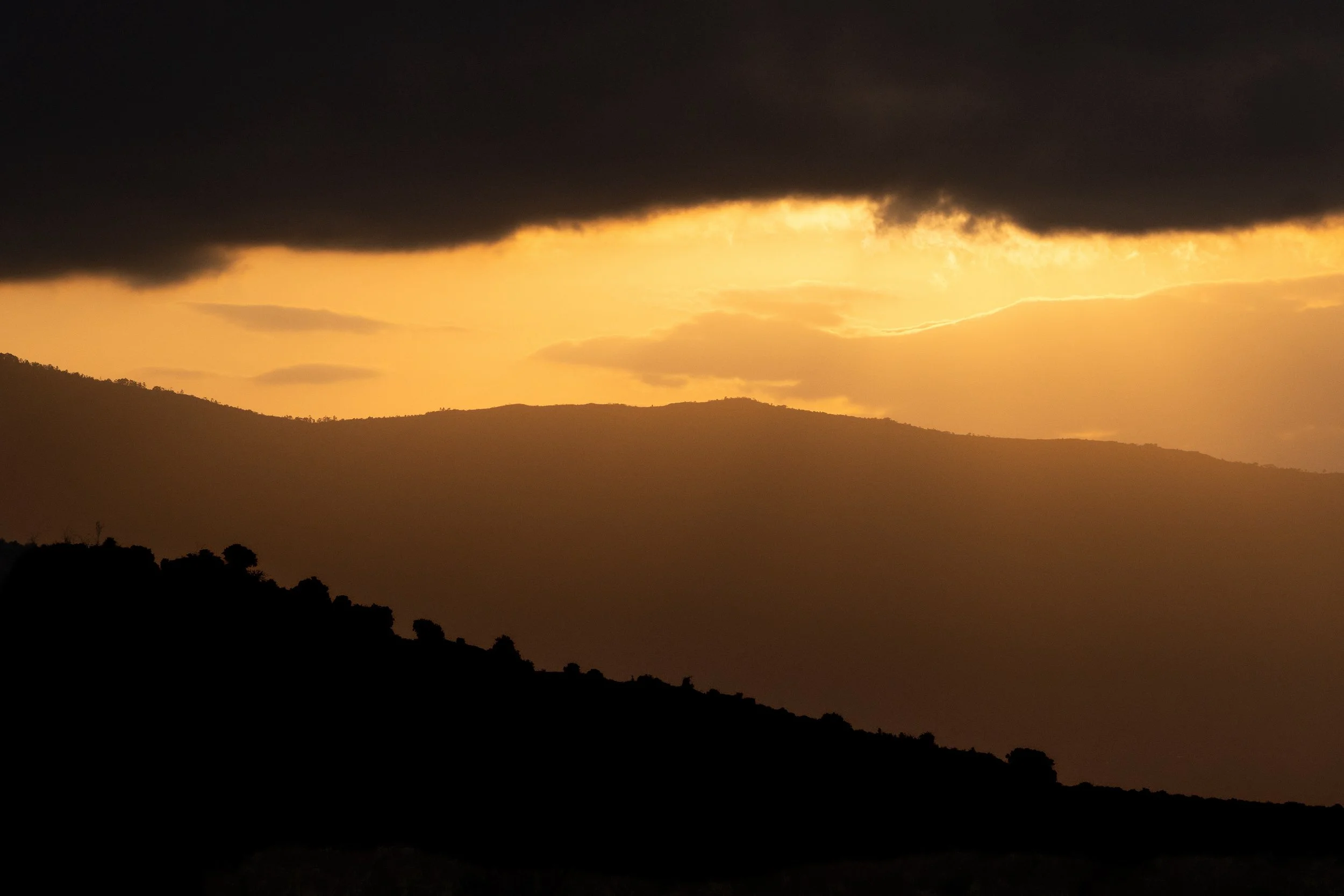 Paysage tirage d'art 4.jpg