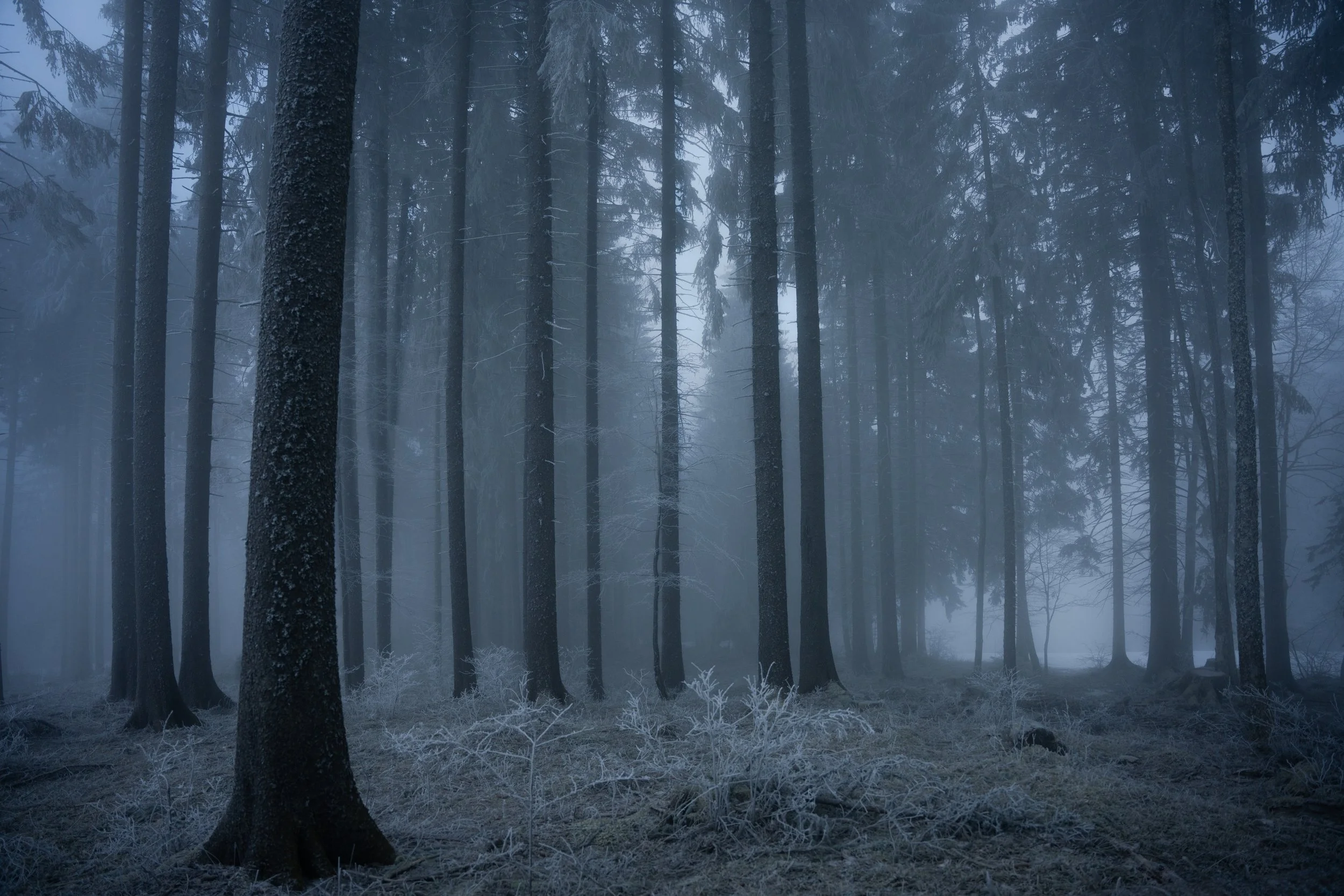 Paysage 24