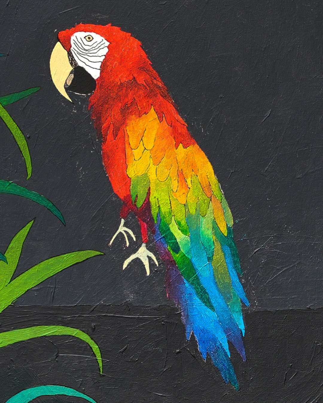 murder parrots 02.jpg