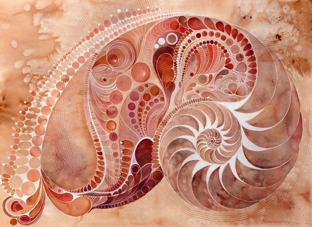 love urchin low res.jpeg