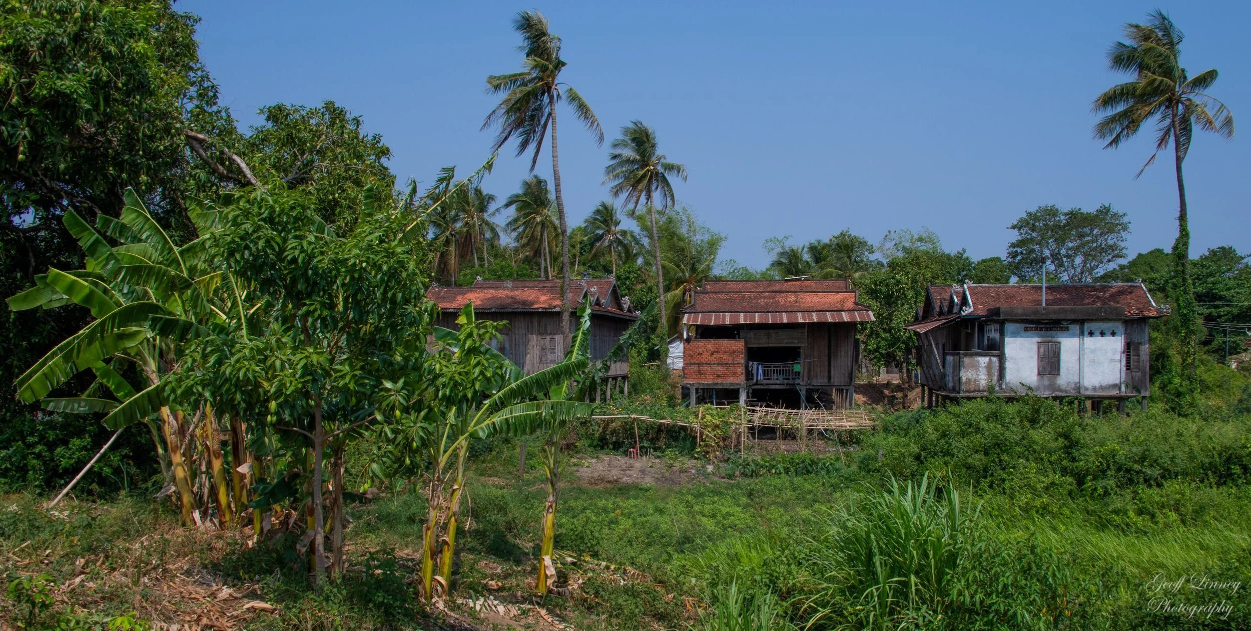 Mekong country