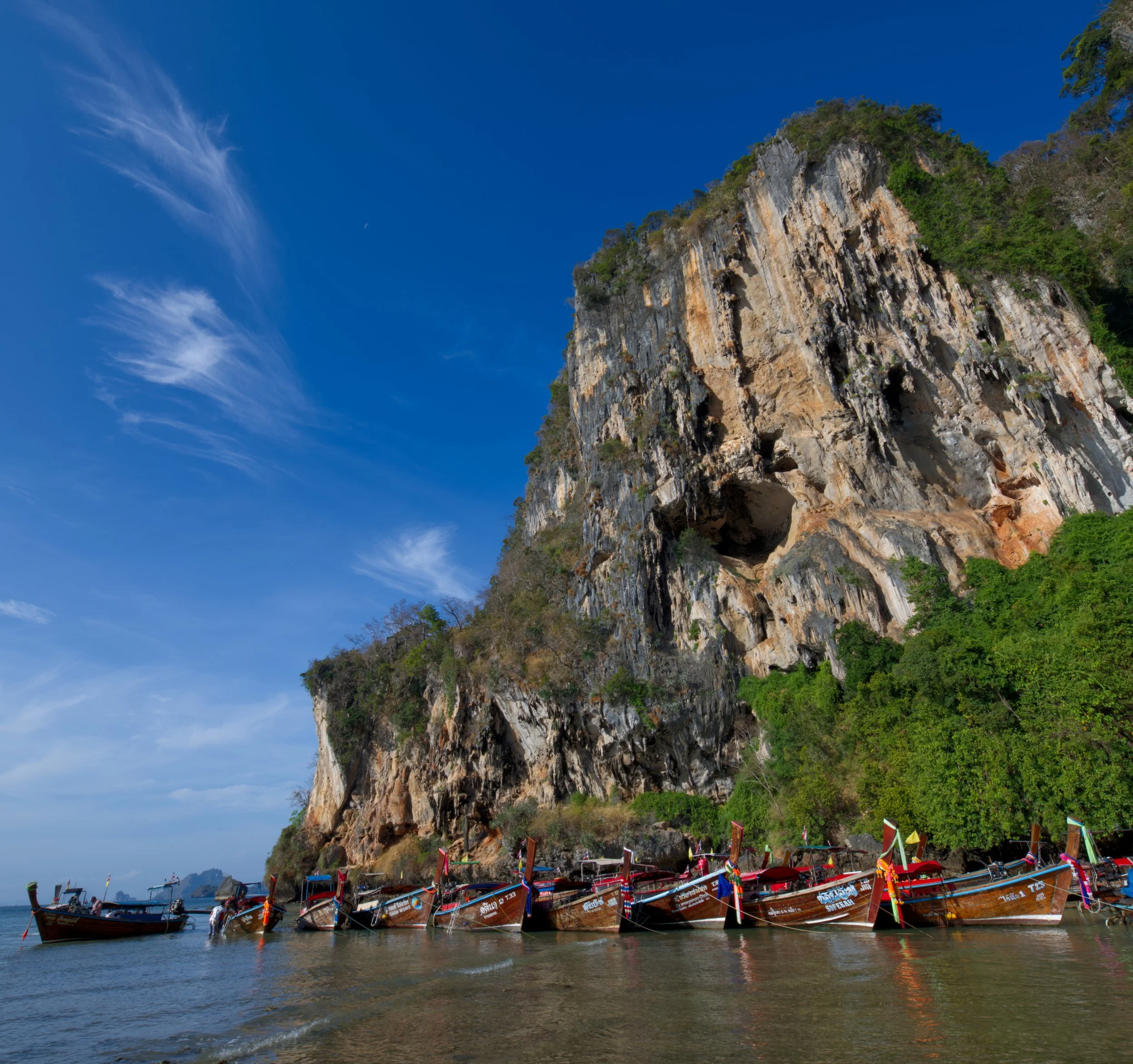 30 Tonsai Cliffs ans Longtails