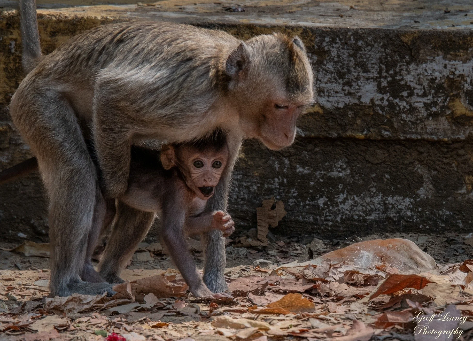 Mother and baby