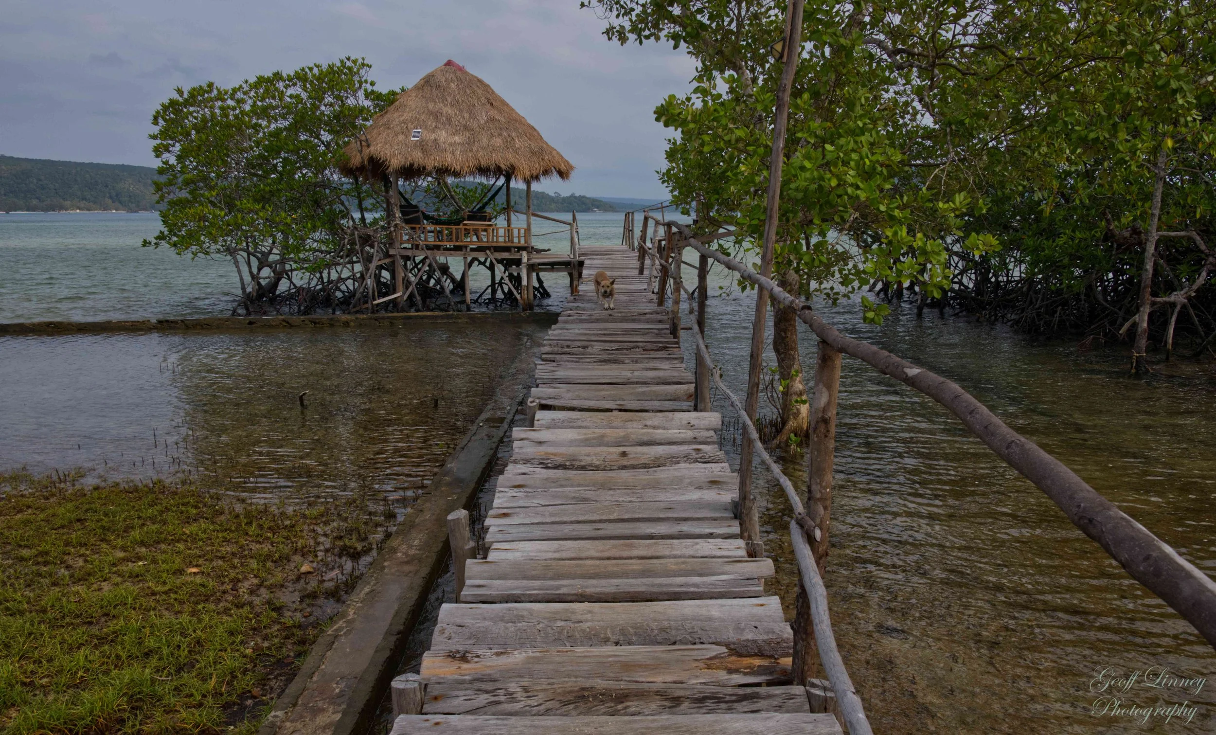 Mangrove Beach pier
