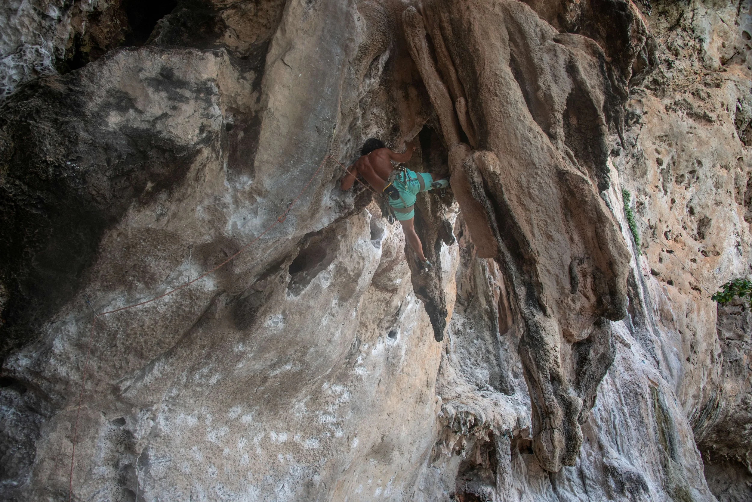32 Tonsai climber advanced