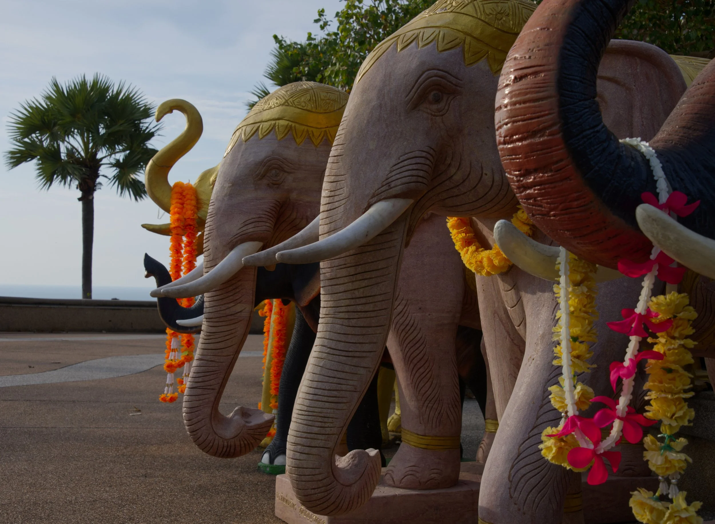 16 Elephant Temple Promthep Cape 2