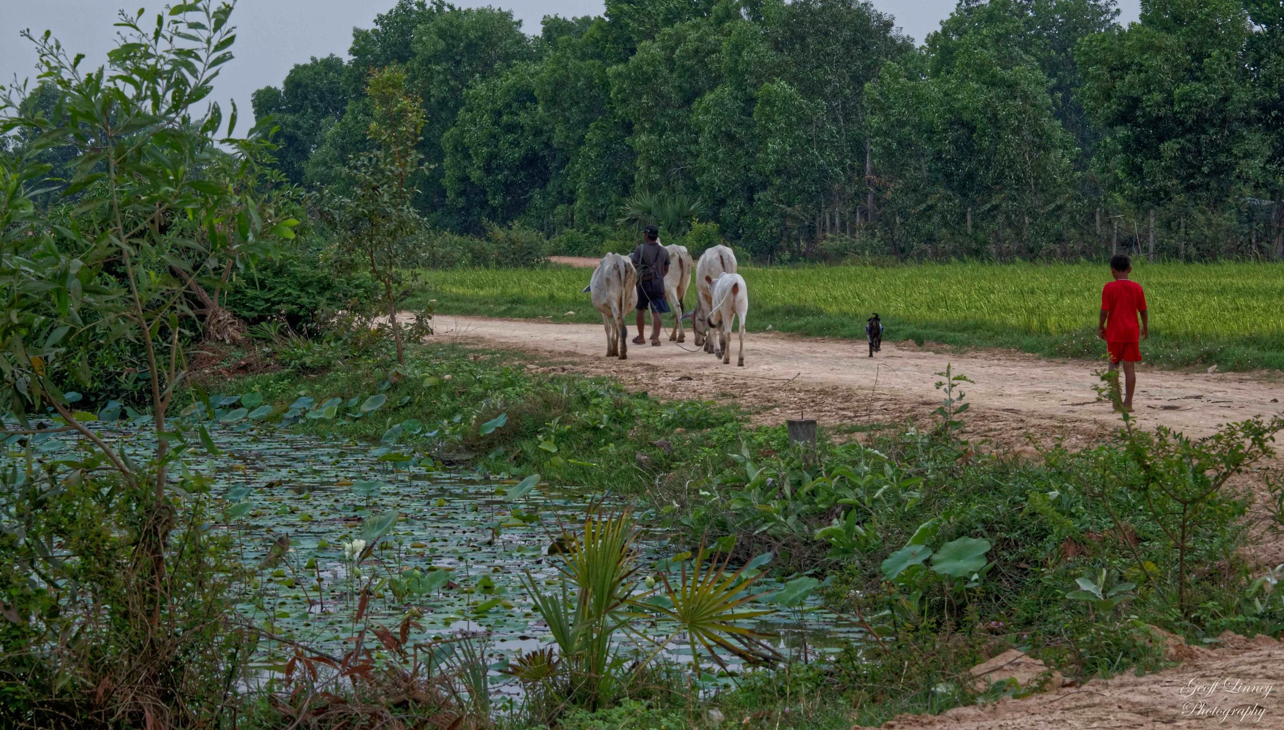 Siem Reap -country and city combined