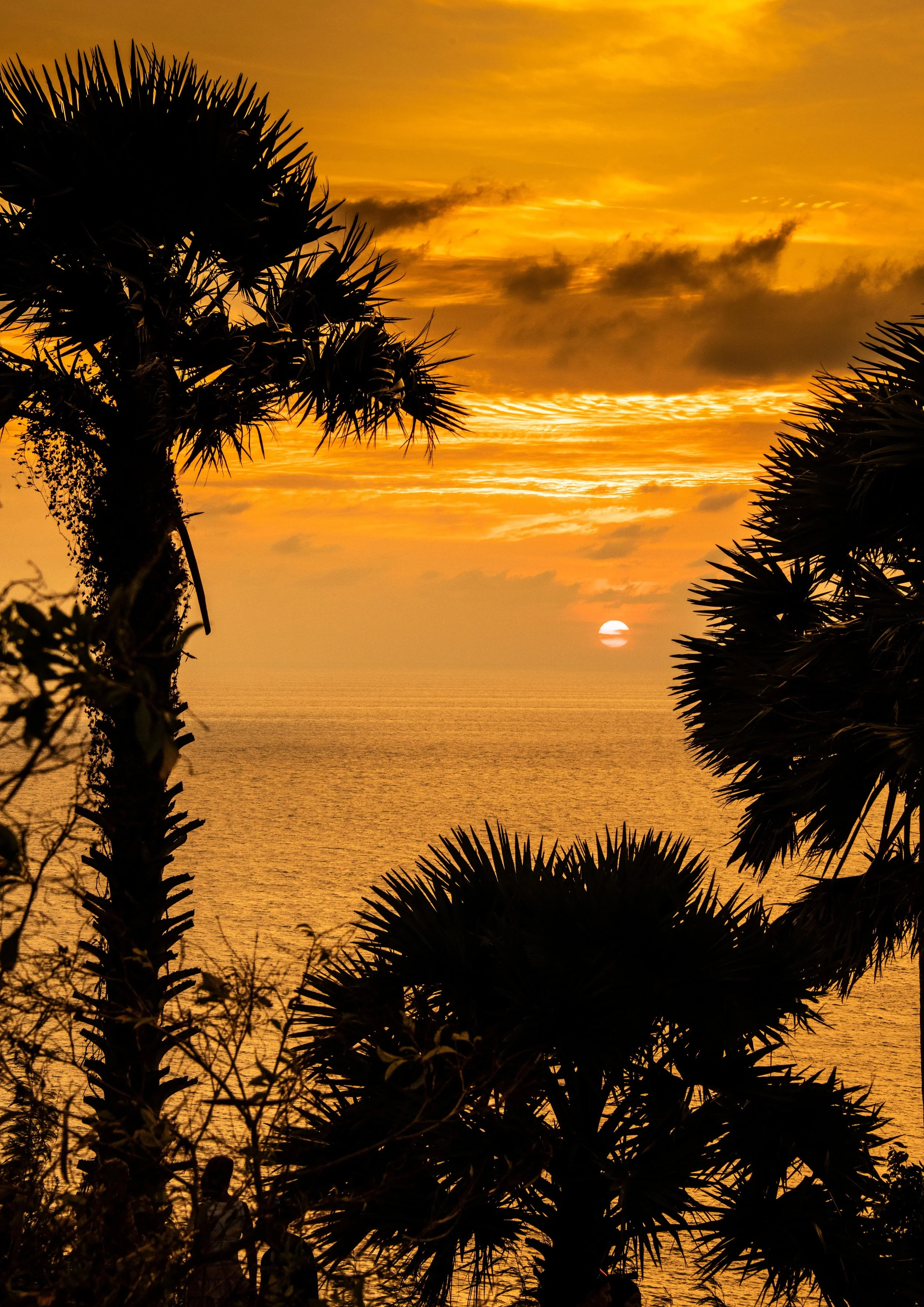 14 Promthep Cape sundown