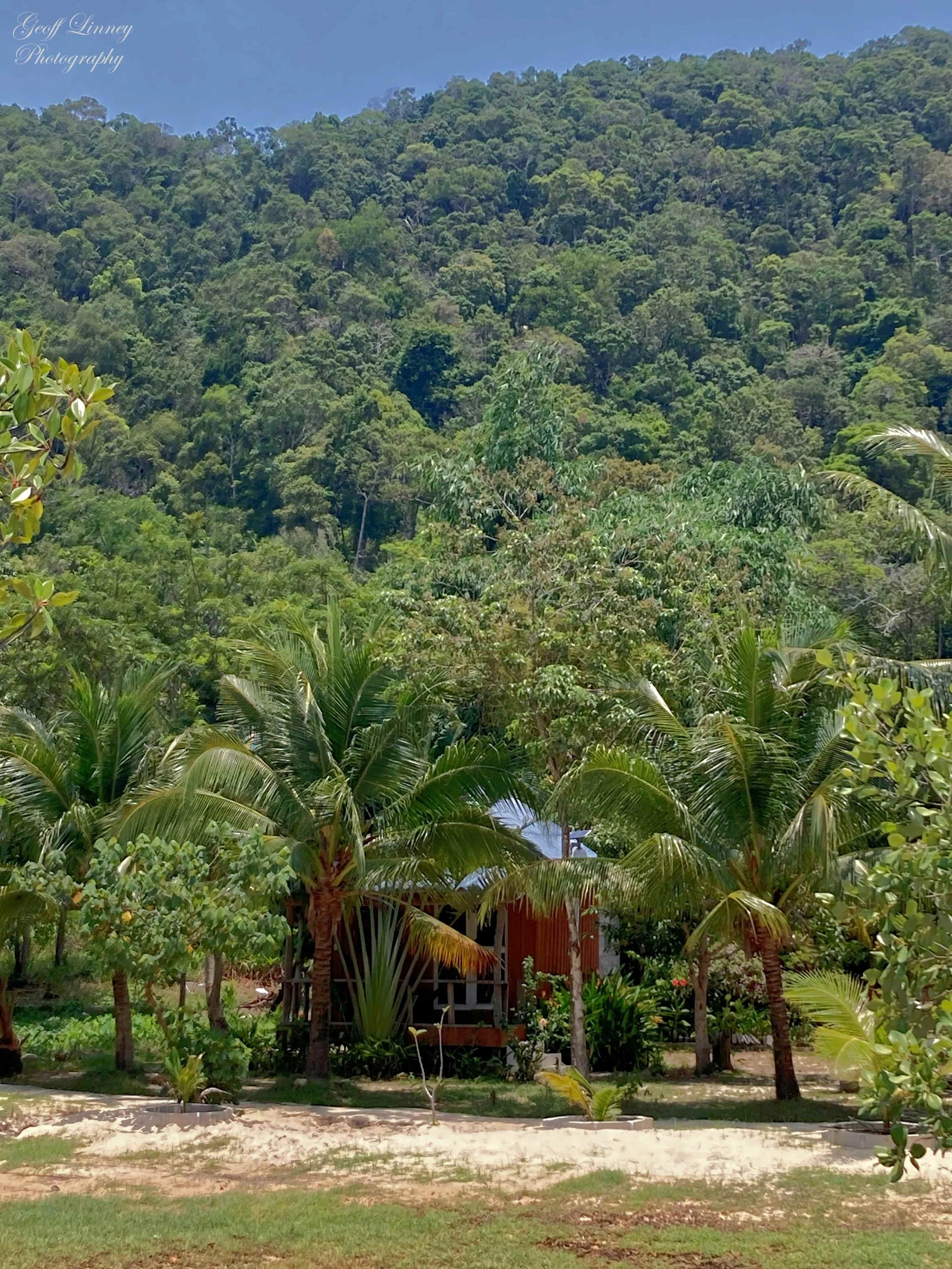 Mangrove Beach Bungalow