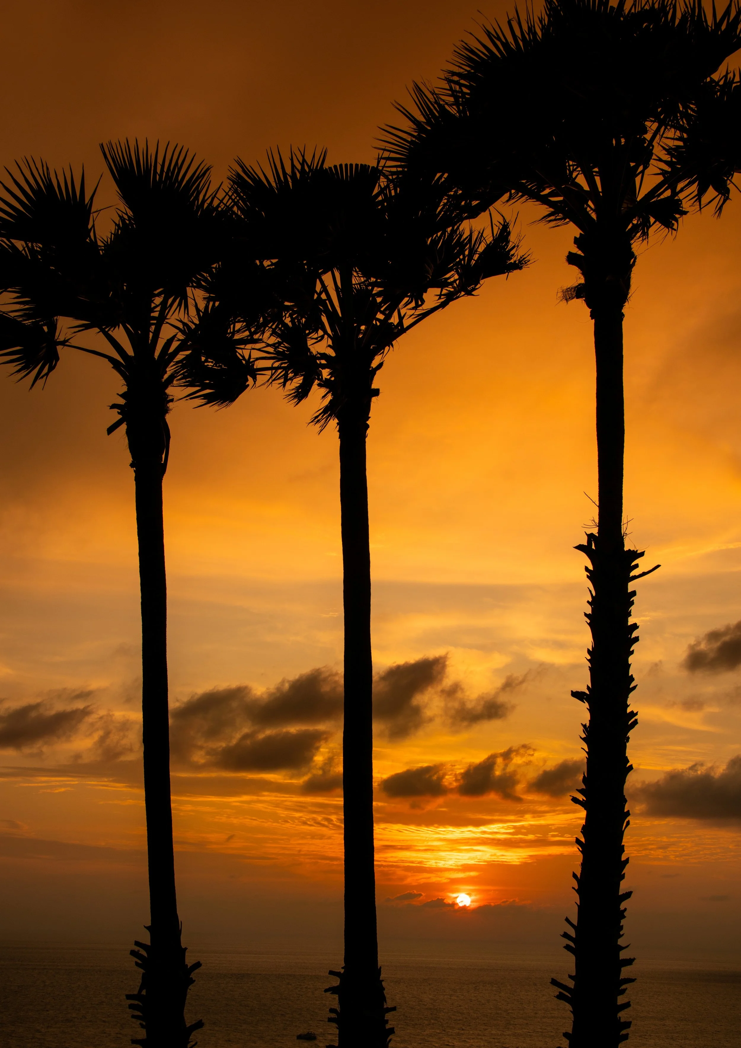 12 Promthep Cape sunset