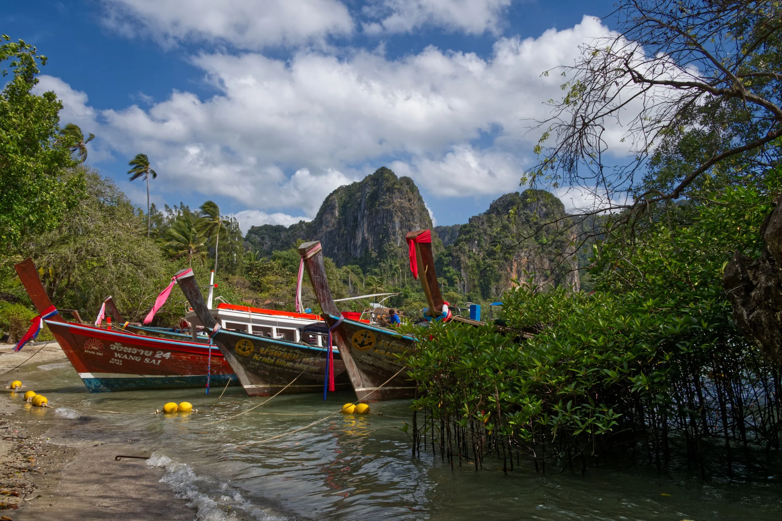 55 Railay longtails