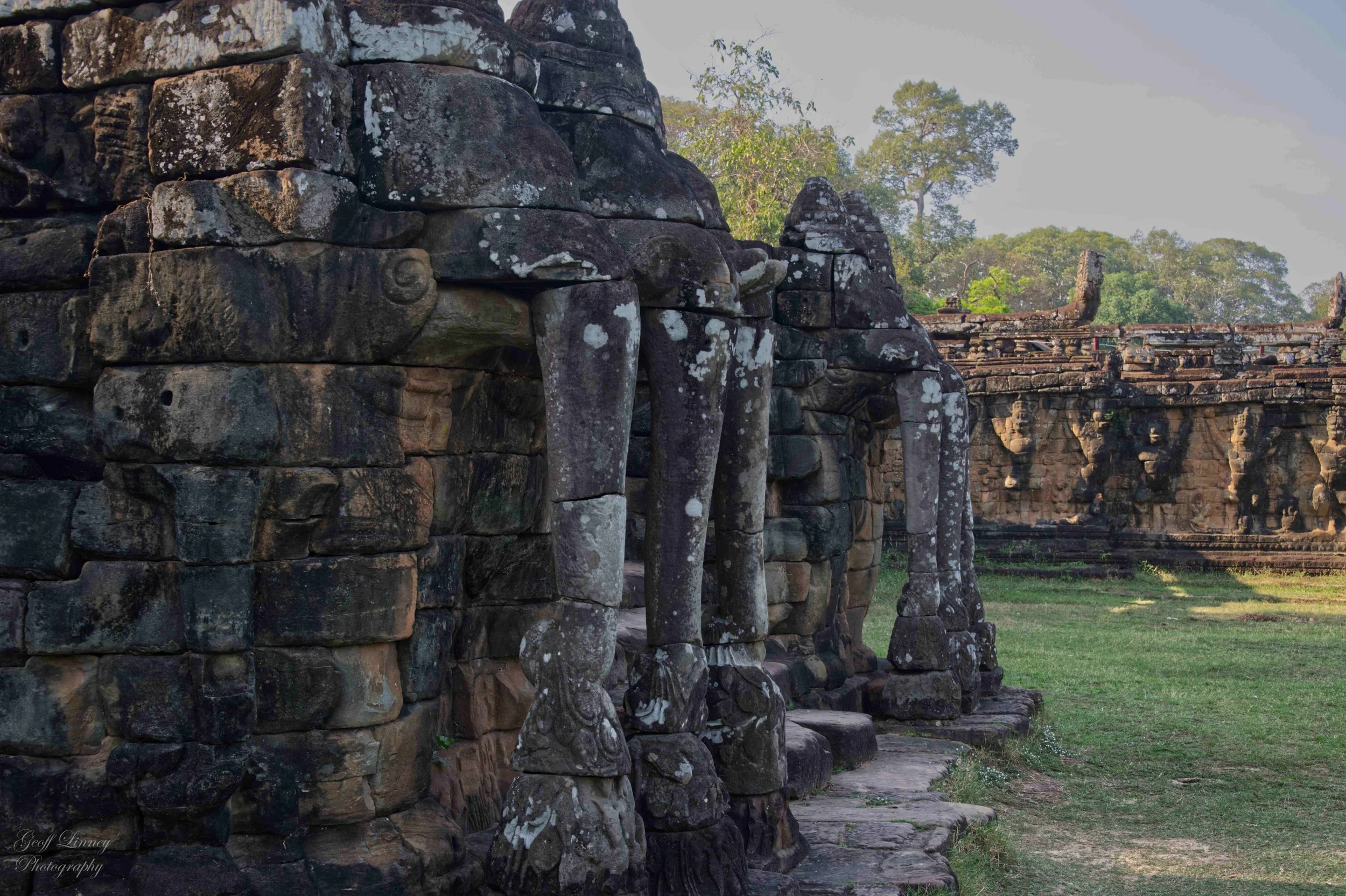 Elephant Tce Bayon