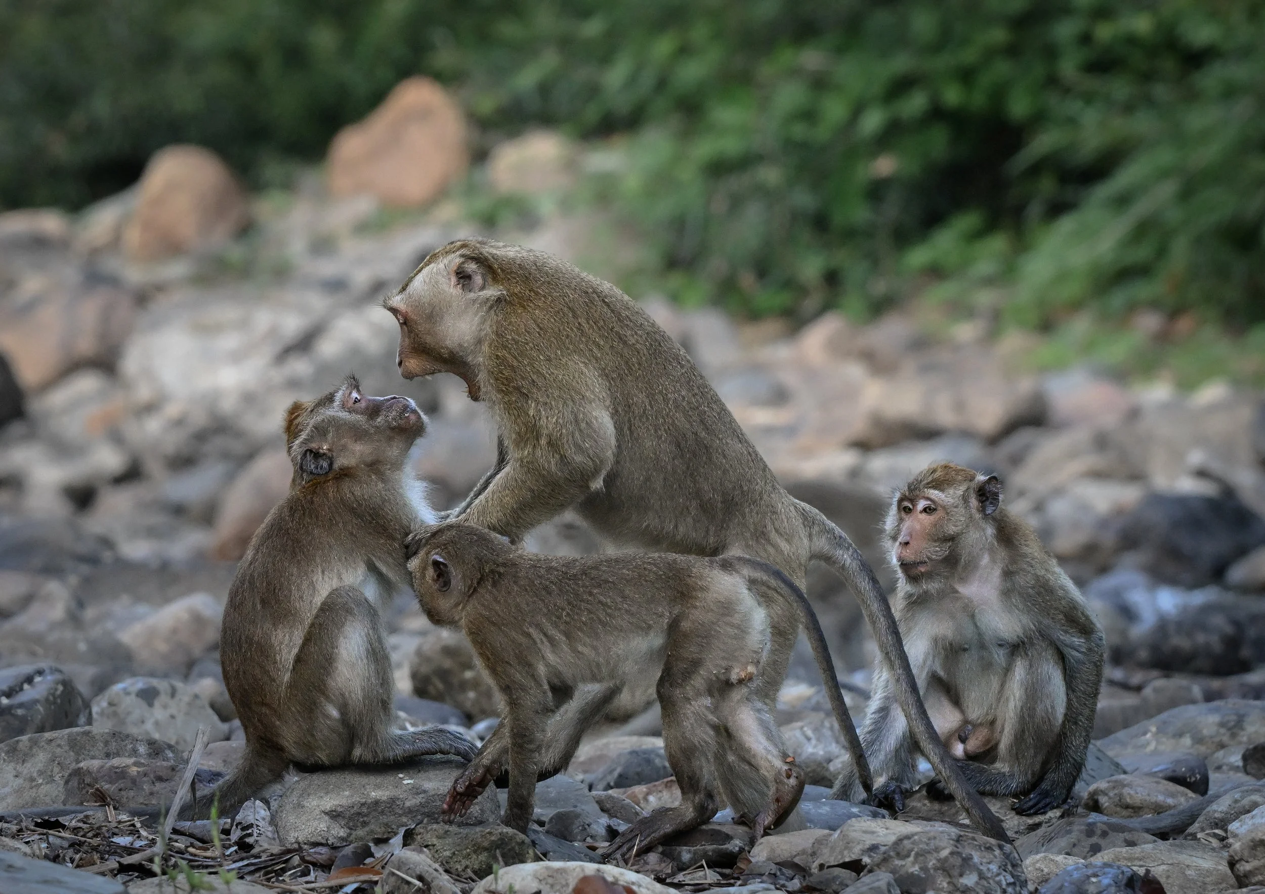 8 Family discipline