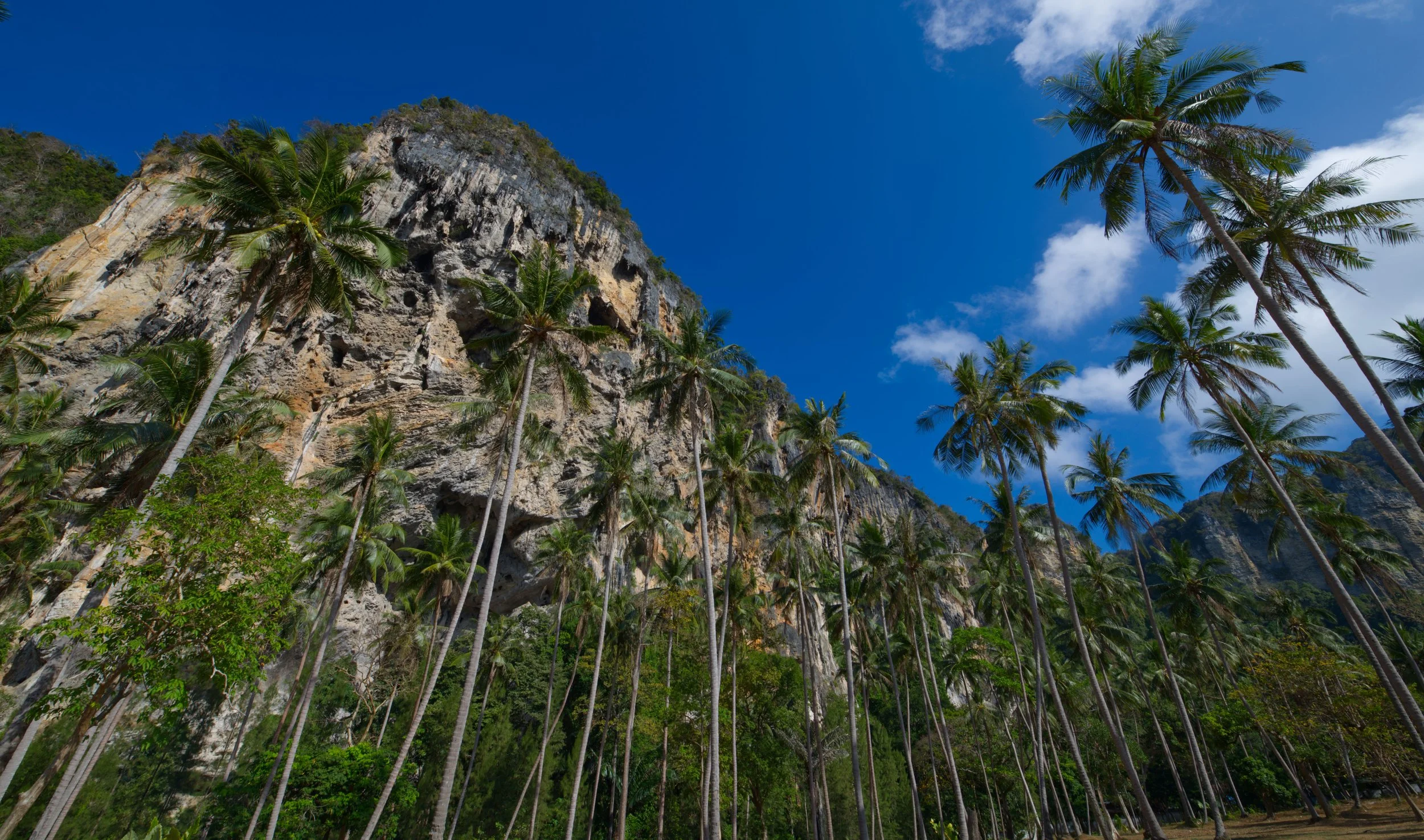 29 Tonsai cliffs and palms