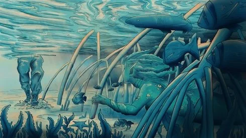 Invasion of the Mangrove Thumbnail.jpg