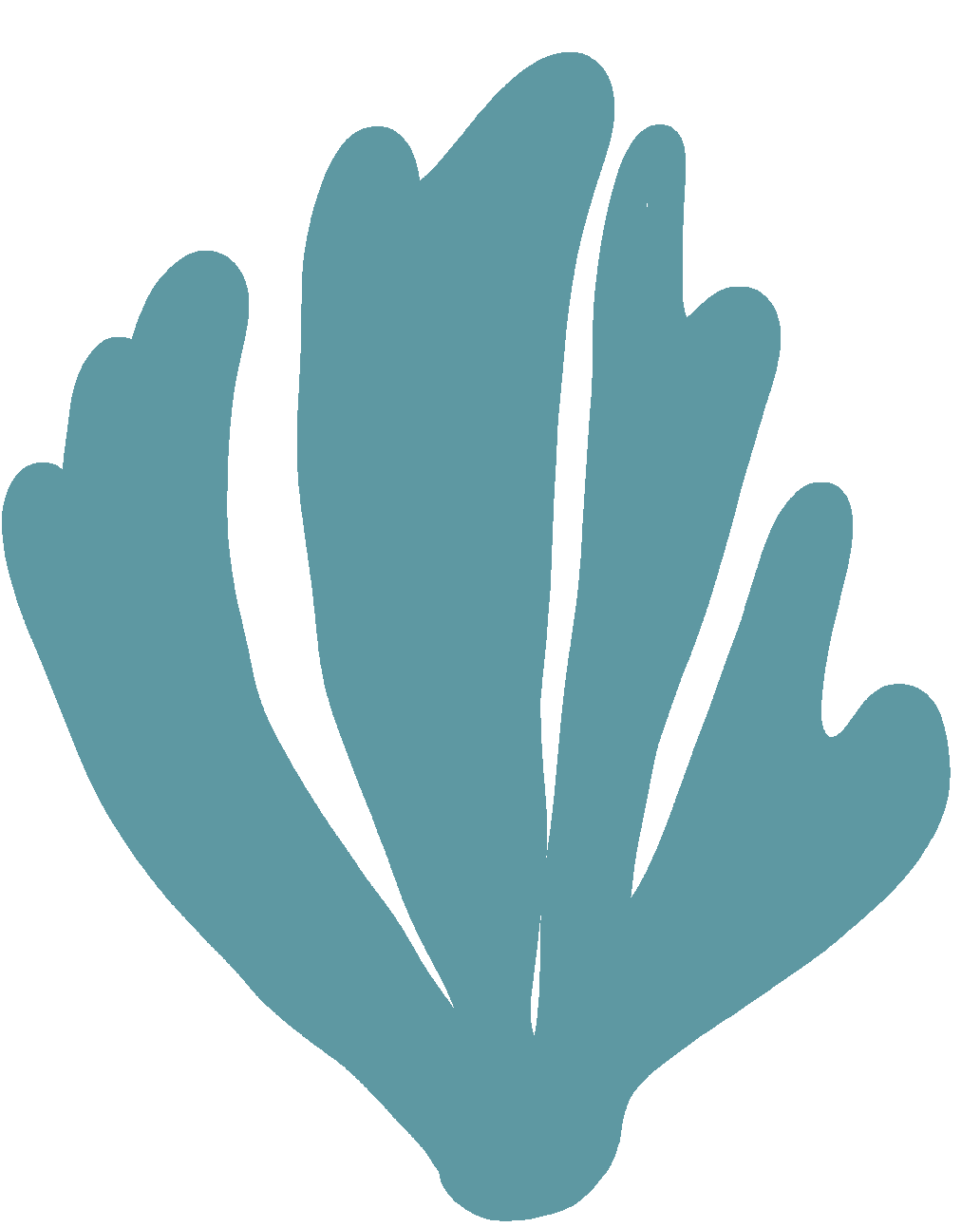 Celebrating BMC®: 50 years of somatic movement education